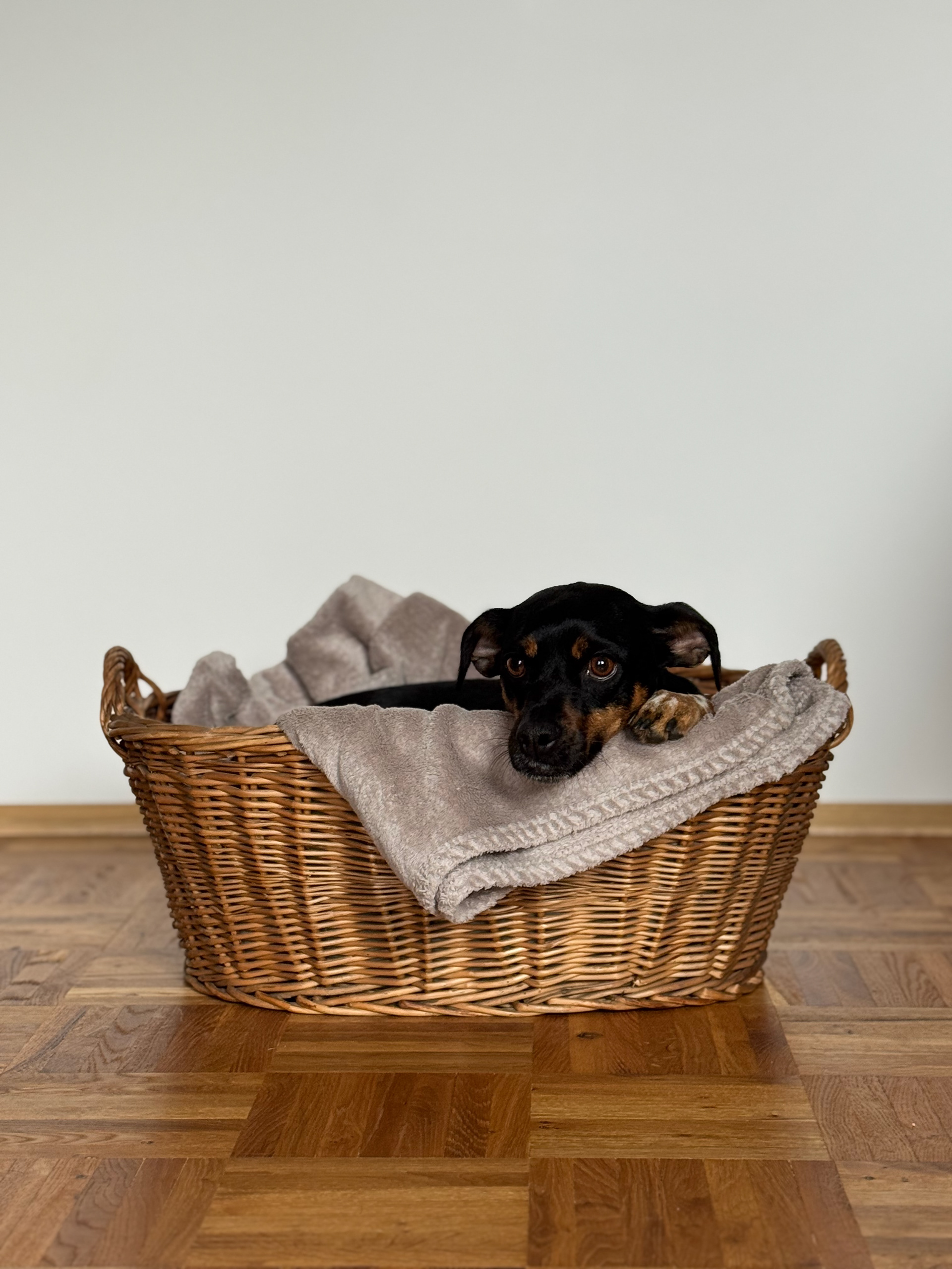 Geflochtener Korb (klein) für Baby/Kinder oder Tiere