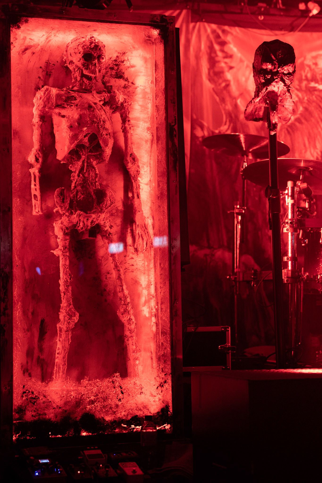 ABORTED - Death Metal, Grindcore, Hardcore, Belgium
Sven De Caluwe - Vocals
Mendel Bij De Leij - Guitar
Ian Jekelis - Guitar
Ken Bedene - Drums
Stefano Franceschini - Bass
Century Media Records
WiniaryBookings
fot.Andrzej kaziq Wasilkiewicz/Reporter