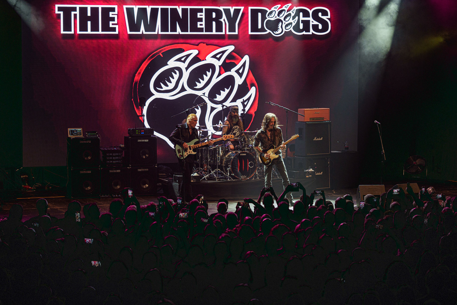 21.10.2021 The Winery Dogs - Warszawa klub Progresja, Knock Out Productions, fot. Andrzej Wasilkiewicz/Reporter