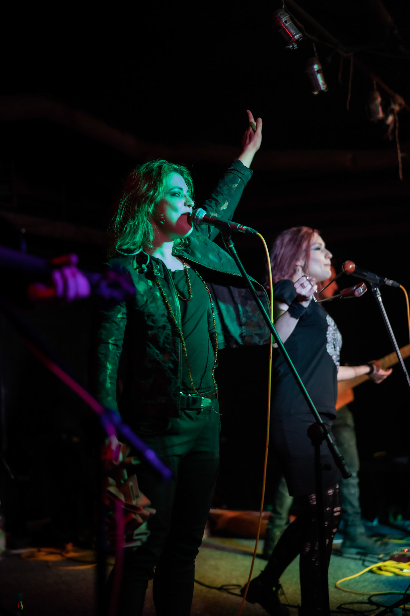 Żywiołak - biometal, folk, ethno sound,
Robert Jaworski - fidel renesansowa, wokal, lira korbowa,
Kamil Strzyżewski - gitara basowa, lutnia,
Wiktoria Kwiatkowska - śpiew, 
Zuza Ciszewska - śpiew, skrzypce,
Michał Lange - perkusja,
Szyszka Leśna - skrzypce ,wokal wspomagający,
Warszawa, klub Potok Drugi Dom Ludzi Rocka,
fot. Andrzej kaziq Wasilkiewicz