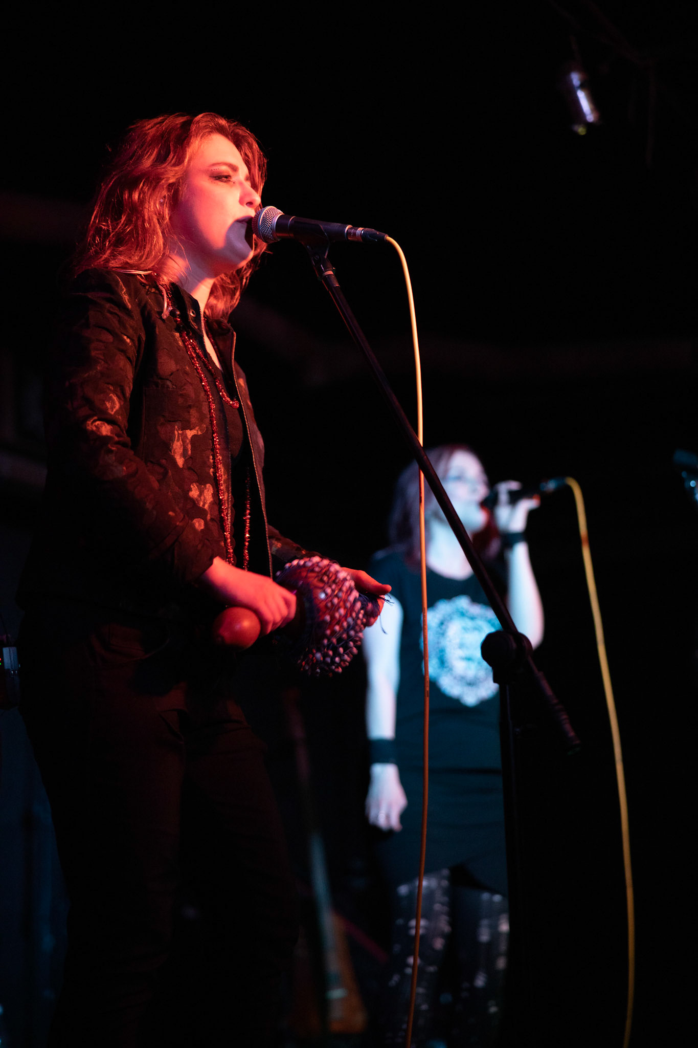 Żywiołak - biometal, folk, ethno sound,
Robert Jaworski - fidel renesansowa, wokal, lira korbowa,
Kamil Strzyżewski - gitara basowa, lutnia,
Wiktoria Kwiatkowska - śpiew, 
Zuza Ciszewska - śpiew, skrzypce,
Michał Lange - perkusja,
Szyszka Leśna - skrzypce ,wokal wspomagający,
Warszawa, klub Potok Drugi Dom Ludzi Rocka,
fot. Andrzej kaziq Wasilkiewicz