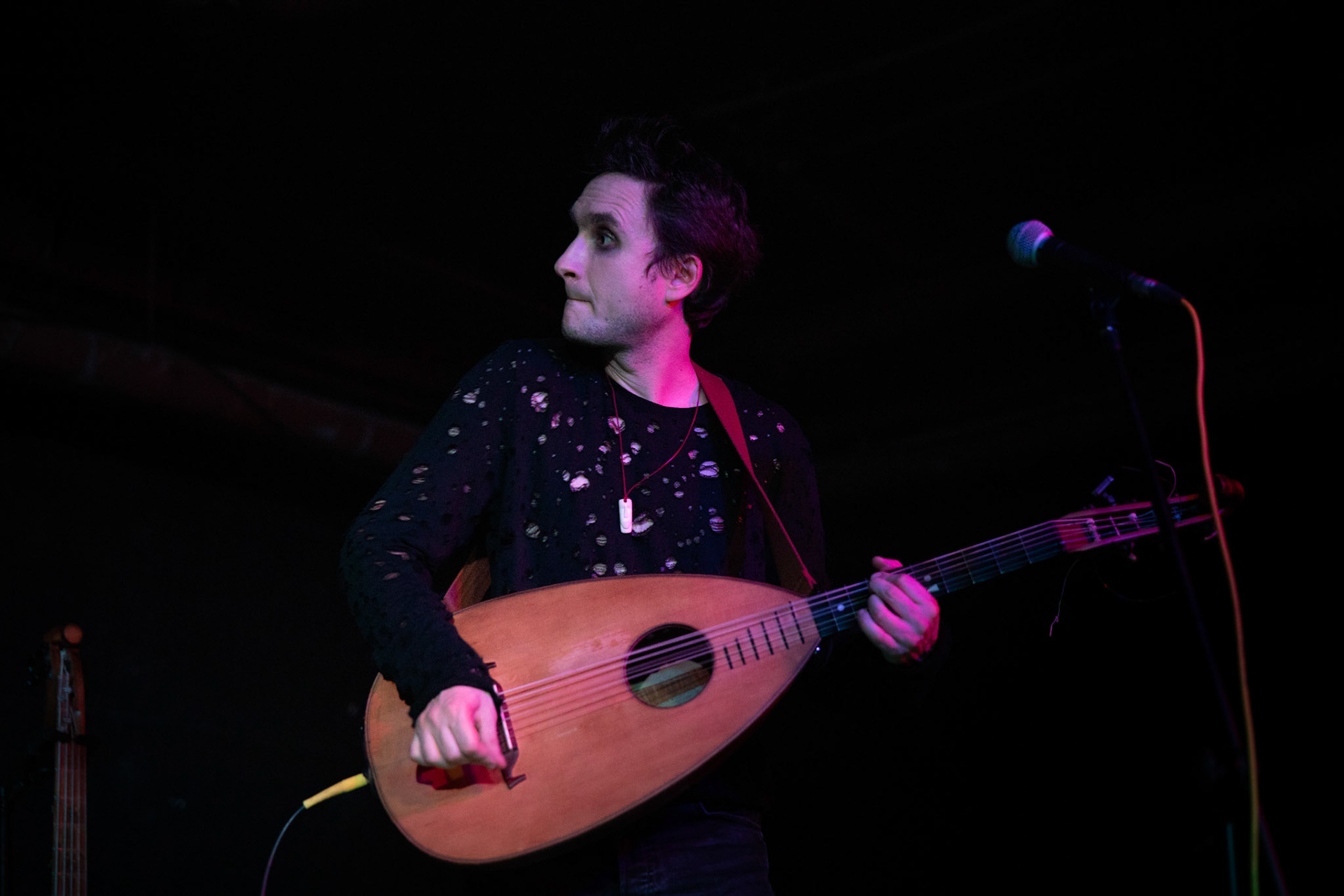 Żywiołak - biometal, folk, ethno sound,
Robert Jaworski - fidel renesansowa, wokal, lira korbowa,
Kamil Strzyżewski - gitara basowa, lutnia,
Wiktoria Kwiatkowska - śpiew, 
Zuza Ciszewska - śpiew, skrzypce,
Michał Lange - perkusja,
Szyszka Leśna - skrzypce ,wokal wspomagający,
Warszawa, klub Potok Drugi Dom Ludzi Rocka,
fot. Andrzej kaziq Wasilkiewicz