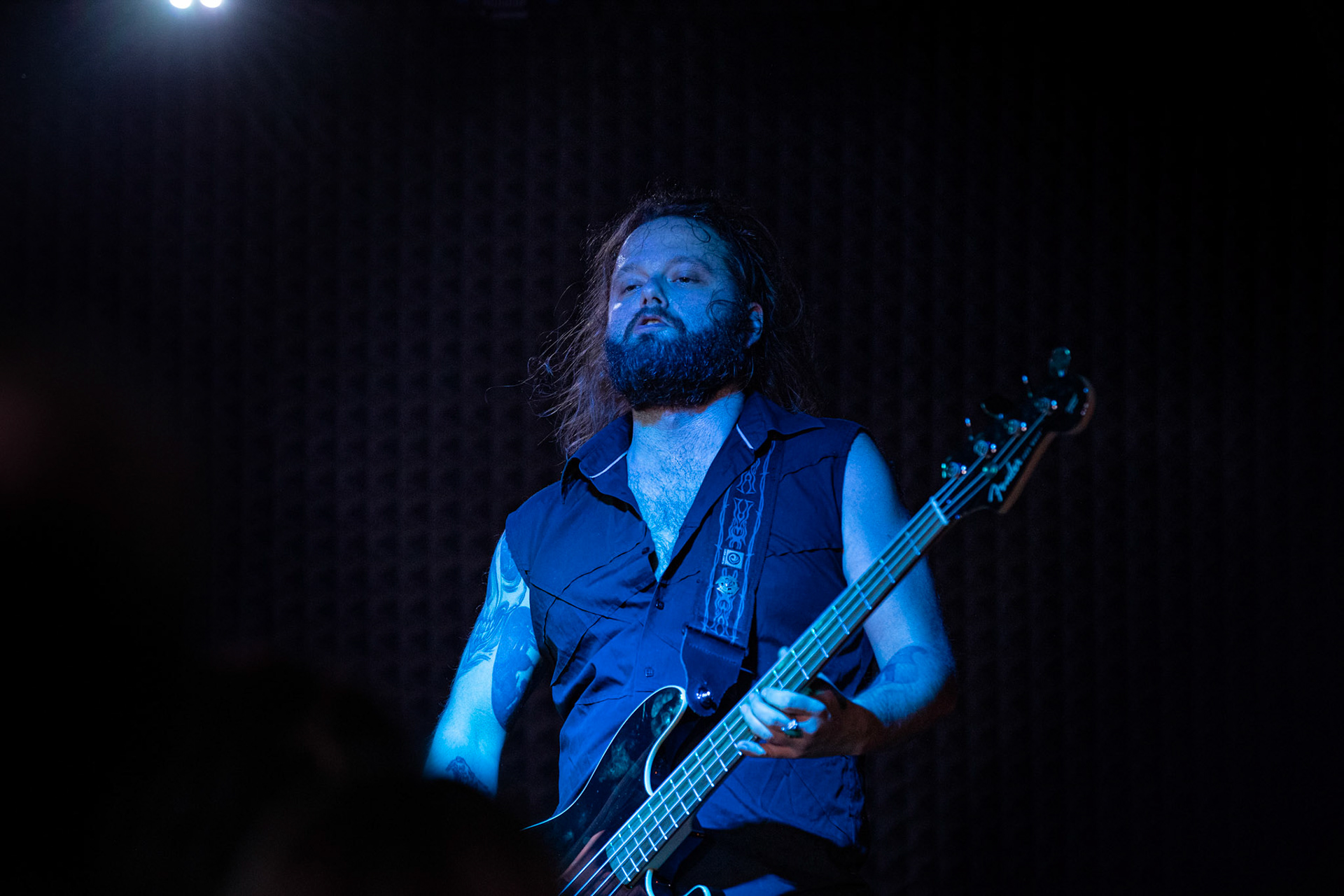 15.02.2020 DANTE - Metalowe Zwierzaki vol.13 - koncert Remont, 
Łukasz „Lucas” Myszkowski (Antigama) - gitara, wokal.
Dariusz „Daray” Brzozowski (Dimmu Borgir, ex Vader) - perkusja.
Tomasz „Yony’ego” Jońca (ex-Obscure Sphinx) - gitara.
Majk Hercberg (Plan, Hedfirst)- bass.
dark hardcore opera, fot. Andrzej Wasilkiewicz/REPORTER