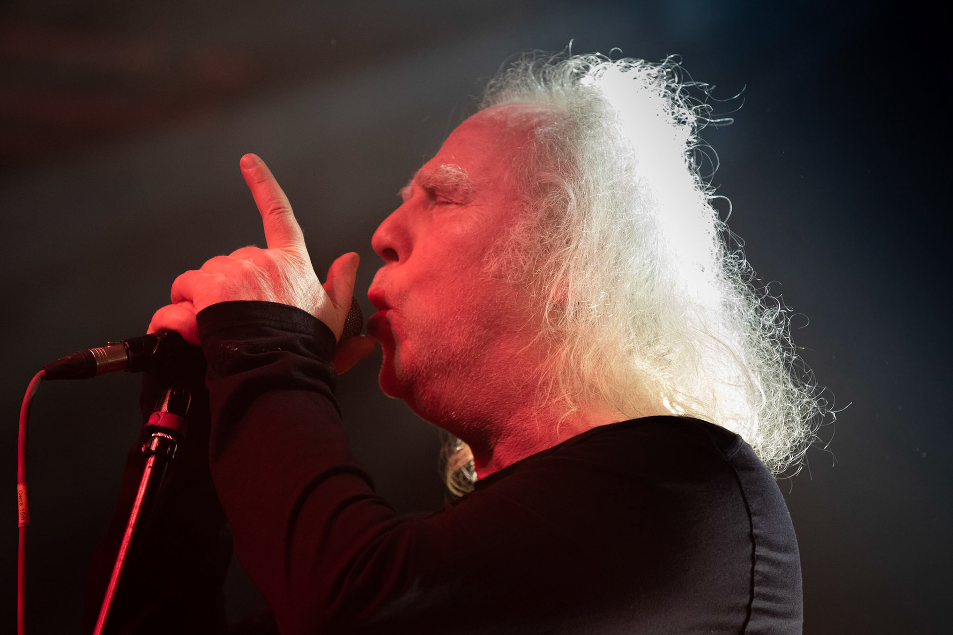 01.03.2019 KAT & Roman Kostrzewski Polska, metal, trashmetal, - koncert w warszawskiej Progresji promujący nowy album studyjny grupy „Popiór”
jeden z pierwszych koncertów w nowym składzie,
 Roman Kostrzewski – wokal
Jacek Nowak – perkusja
Krzysztof Pistelok – gitara
Jacek Hiro – gitara
Michał Laksa – bas
fot. Andrzej Wasilkiewicz/Reporter