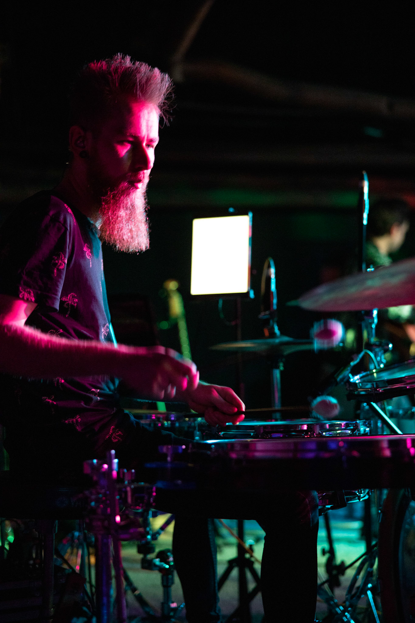 Żywiołak - biometal, folk, ethno sound,
Robert Jaworski - fidel renesansowa, wokal, lira korbowa,
Kamil Strzyżewski - gitara basowa, lutnia,
Wiktoria Kwiatkowska - śpiew, 
Zuza Ciszewska - śpiew, skrzypce,
Michał Lange - perkusja,
Szyszka Leśna - skrzypce ,wokal wspomagający,
Warszawa, klub Potok Drugi Dom Ludzi Rocka,
fot. Andrzej kaziq Wasilkiewicz