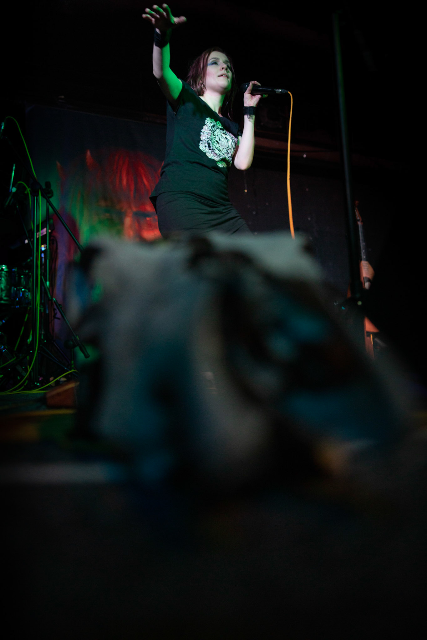 Żywiołak - biometal, folk, ethno sound,
Robert Jaworski - fidel renesansowa, wokal, lira korbowa,
Kamil Strzyżewski - gitara basowa, lutnia,
Wiktoria Kwiatkowska - śpiew, 
Zuza Ciszewska - śpiew, skrzypce,
Michał Lange - perkusja,
Szyszka Leśna - skrzypce ,wokal wspomagający,
Warszawa, klub Potok Drugi Dom Ludzi Rocka,
fot. Andrzej kaziq Wasilkiewicz