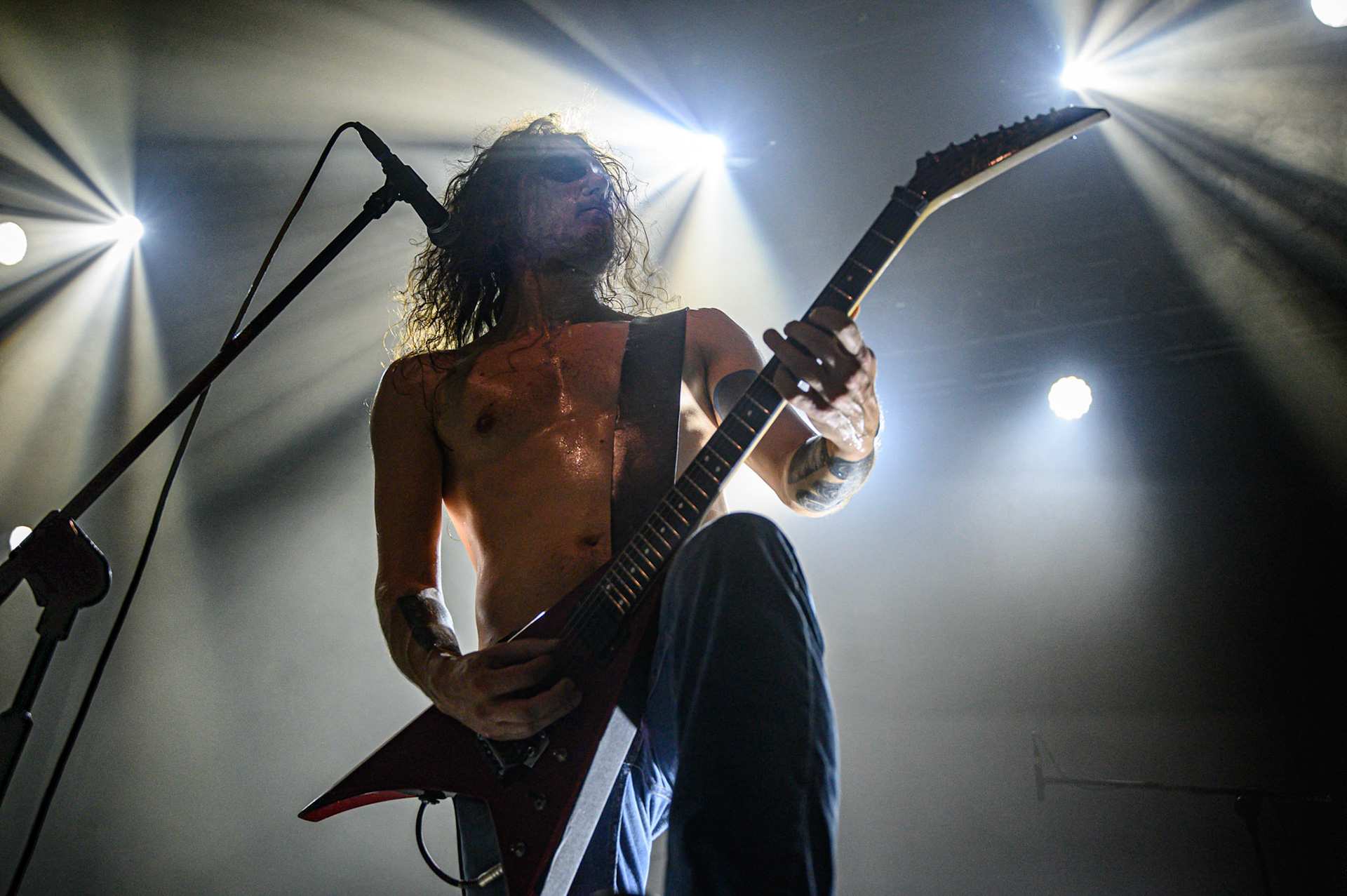 2023.11.11 Furia w warszawskim klubie Progresja!  fot. Andrzej Wasilkiewicz/Reporter