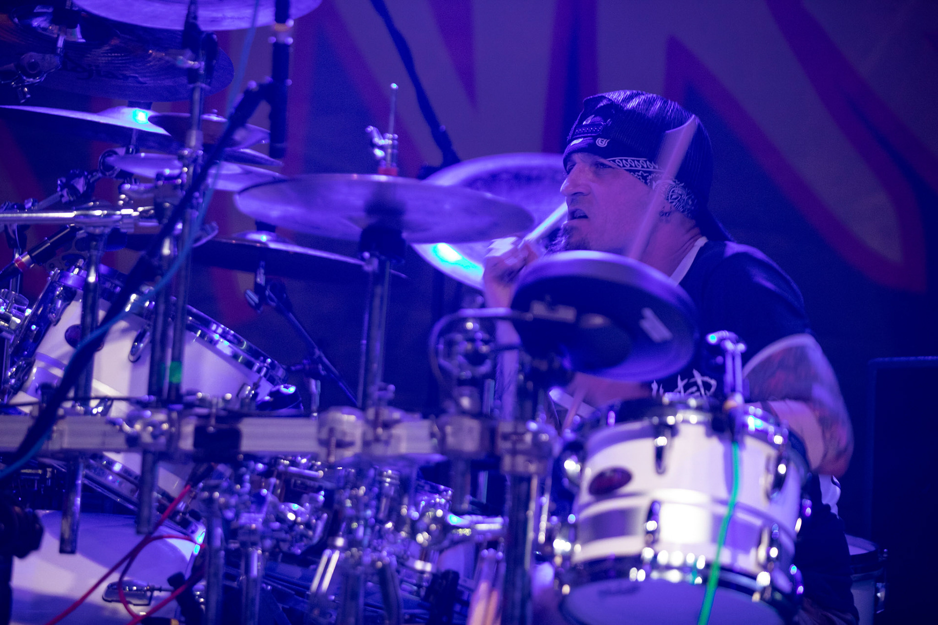 Legendy Metalu Acid Drinkers - rock, trashmetal, - koncert Legendy Metalu w warszawskiej Progresji, 

Tomasz "Titus" Pukacki 
Dariusz "Popcorn" Popowicz 
Maciej "Ślimak" Starosta 
Łukasz "Dzwon" Cyndzer
fot. Andrzej kaziq Wasilkiewicz/Reporter