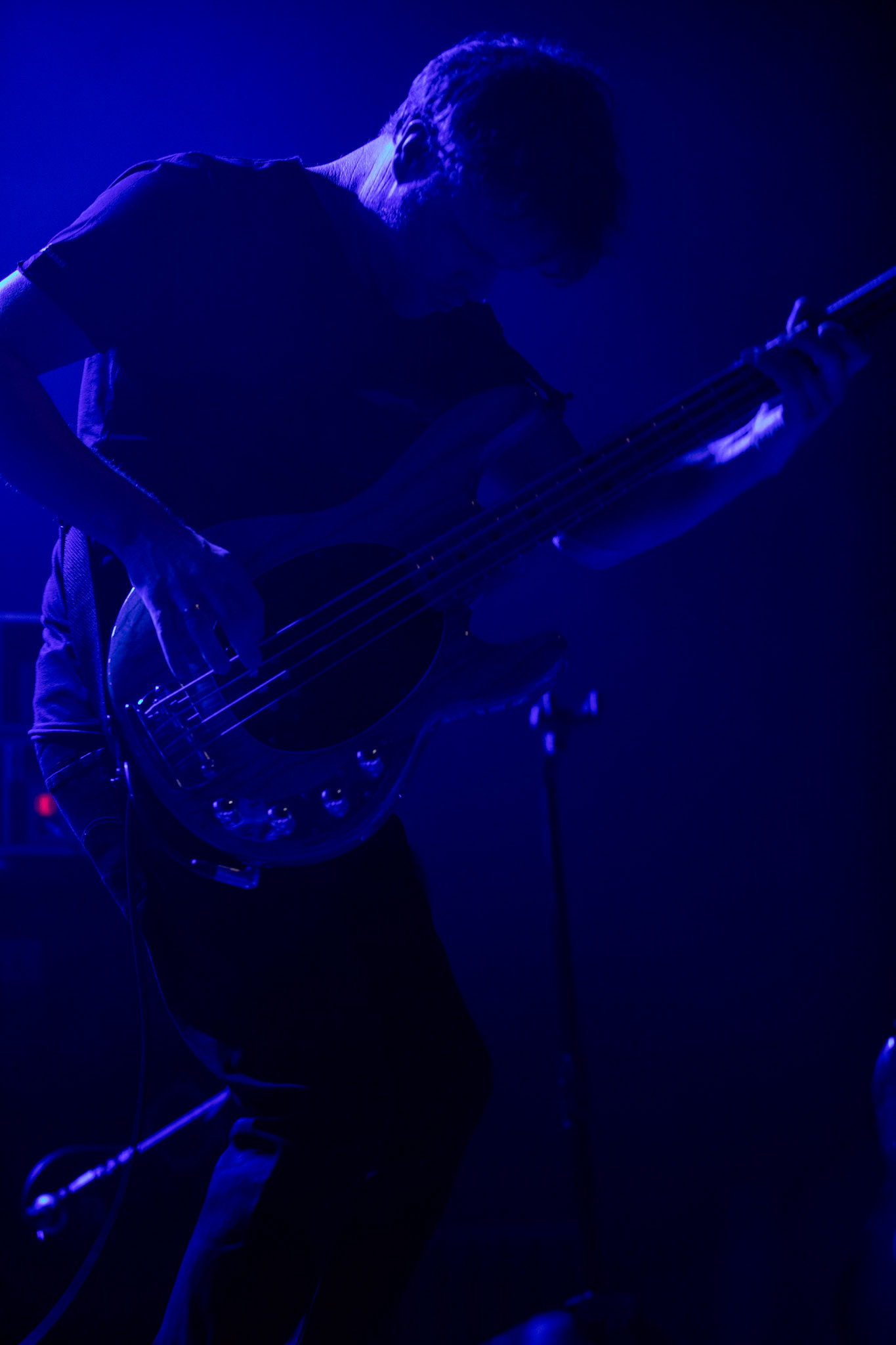 The Gathering: holenderska grupa rockowa, trasa The Gathering_30th Anniversary od doom-metalowego brzmienia z lat 90 po melodyjne i klimatyczne rejony rocka, trip-rock, post-rock, metalu, czy shoegaze. Koncert Warszawa Progresja, HQ44

The Gathering w składzie:
Silje Wergeland – wokal
Rene Rutten – gitara
Hans Rutten – perkusja
Frank Boeijen – klawisze
Hugo Prinsen Geerligs – bass
fot. Andrzej kaziq Wasilkiewicz/Reporter