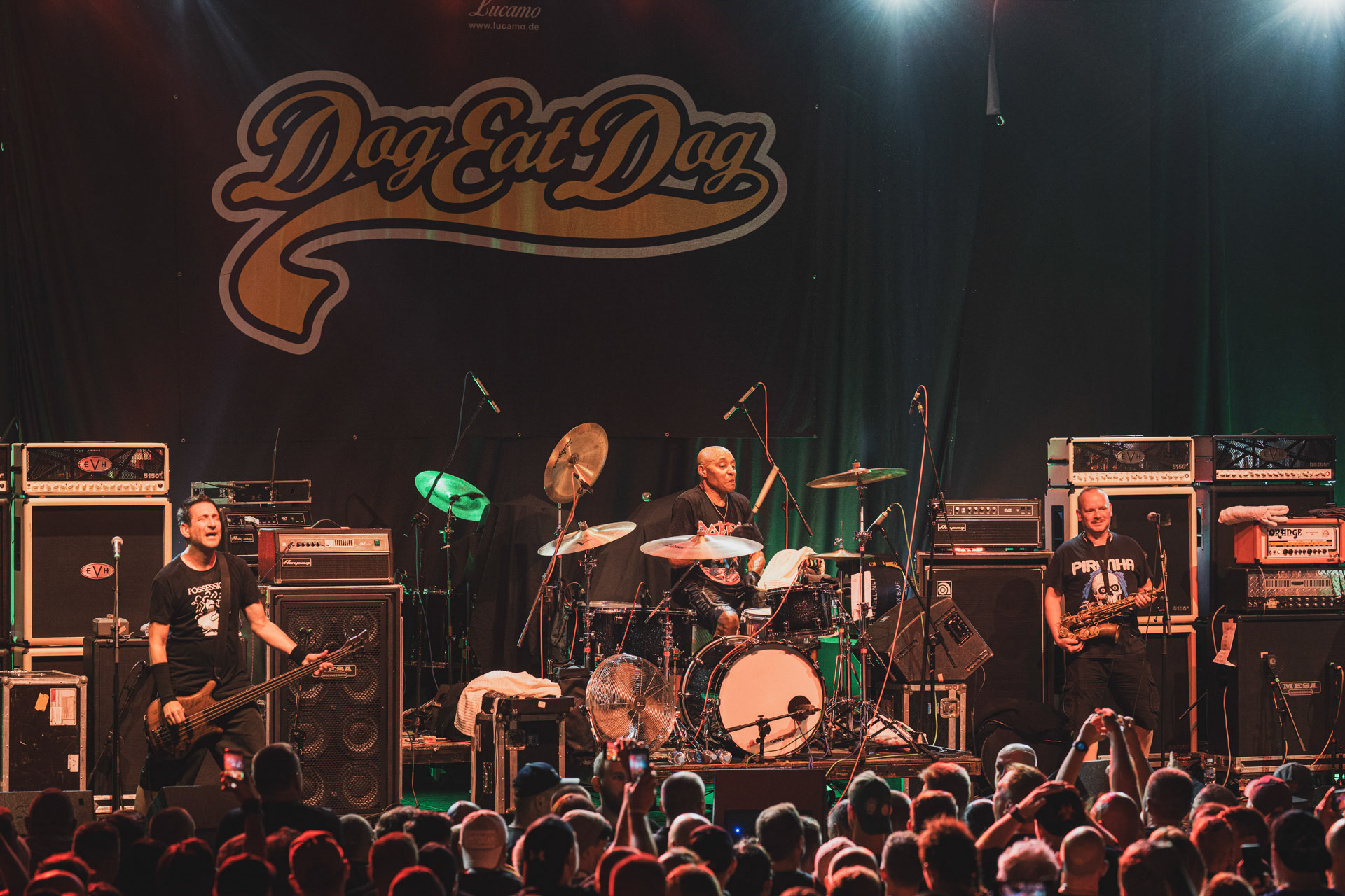 8.08.2023 Dog Eat Dog - Warszawa klub Progresja,Produkcja Knock Out Productions. fot. Andrzej Wasilkiewicz/kaziq.com