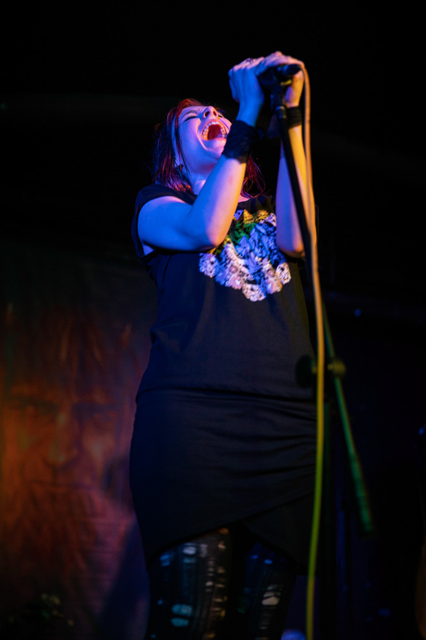 Żywiołak - biometal, folk, ethno sound,
Robert Jaworski - fidel renesansowa, wokal, lira korbowa,
Kamil Strzyżewski - gitara basowa, lutnia,
Wiktoria Kwiatkowska - śpiew, 
Zuza Ciszewska - śpiew, skrzypce,
Michał Lange - perkusja,
Szyszka Leśna - skrzypce ,wokal wspomagający,
Warszawa, klub Potok Drugi Dom Ludzi Rocka,
fot. Andrzej kaziq Wasilkiewicz