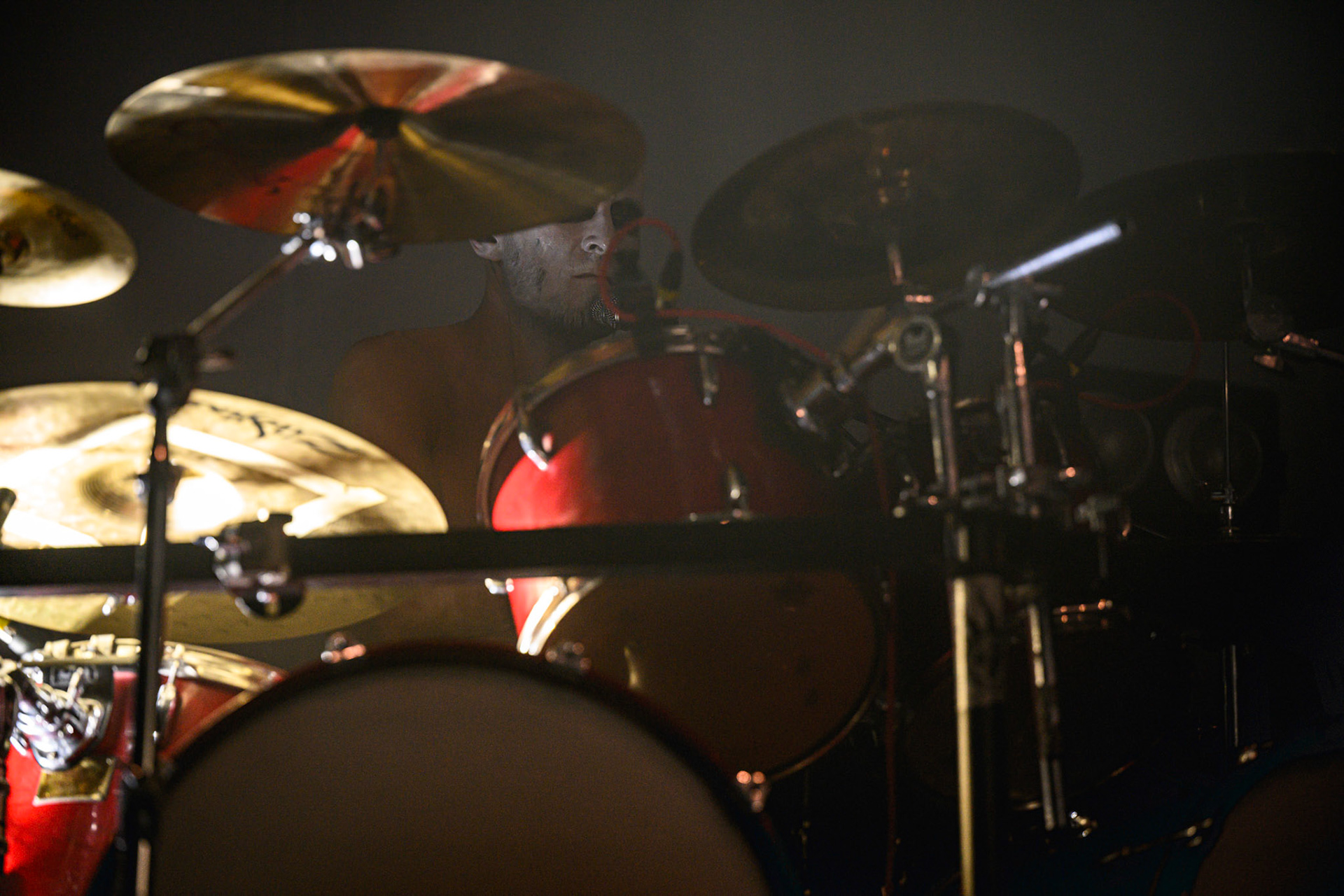 2023.11.11 Furia w warszawskim klubie Progresja!  fot. Andrzej Wasilkiewicz/Reporter