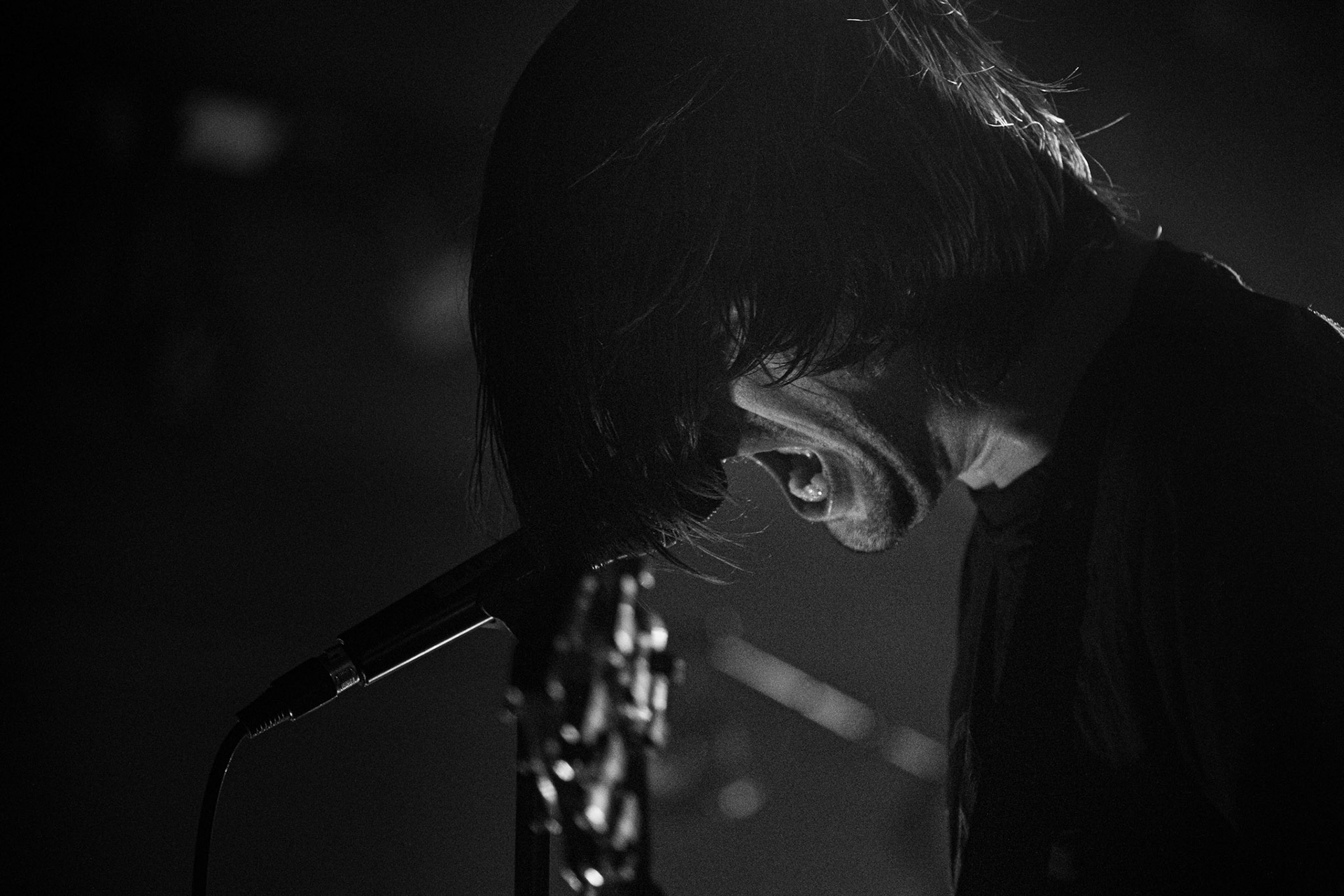 20.02.2020 Birds in row - Spiritual Instinct European Tour 2020
Koncert w warszawskiej Proximie, francuzi supportowali Alcest,
Blues / Hardcore, Knock Out Productions.
fot. Andrzej Wasilkiewicz/Reporter