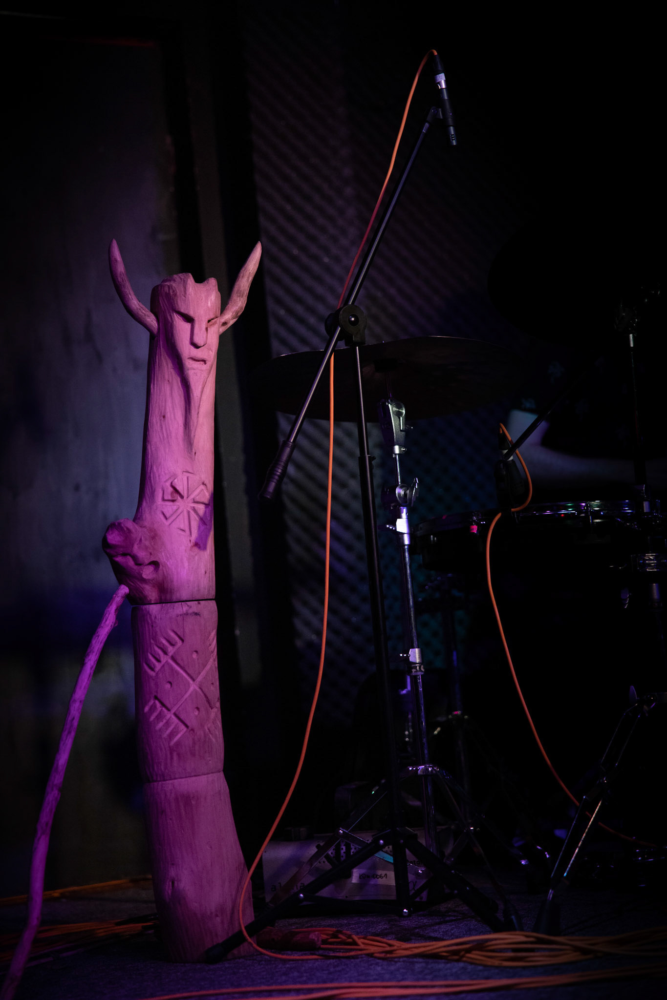 Żywiołak - biometal, folk, ethno sound,
Robert Jaworski - fidel renesansowa, wokal, lira korbowa,
Kamil Strzyżewski - gitara basowa, lutnia,
Wiktoria Kwiatkowska - śpiew, 
Zuza Ciszewska - śpiew, skrzypce,
Michał Lange - perkusja,
Szyszka Leśna - skrzypce ,wokal wspomagający,
Warszawa, klub Potok Drugi Dom Ludzi Rocka,
fot. Andrzej kaziq Wasilkiewicz