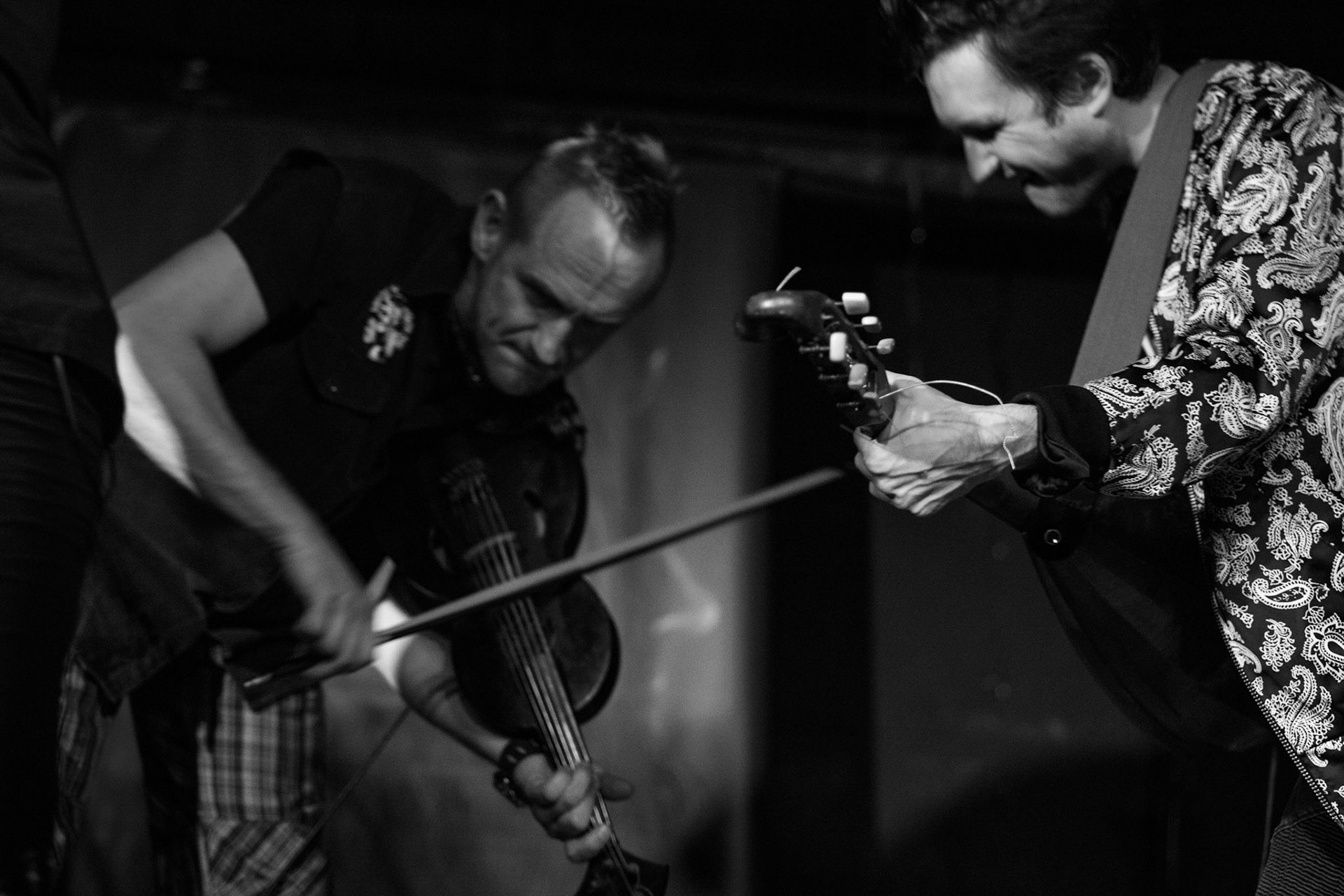 Żywiołak - biometal, folk, ethno sound,
Robert Jaworski - fidel renesansowa, wokal, lira korbowa,
Kamil Strzyżewski - gitara basowa, lutnia,
Wiktoria Kwiatkowska - śpiew, 
Zuza Ciszewska - śpiew, skrzypce,
Michał Lange - perkusja,
Szyszka Leśna - skrzypce ,wokal wspomagający,
Warszawa, klub Potok Drugi Dom Ludzi Rocka,
fot. Andrzej kaziq Wasilkiewicz