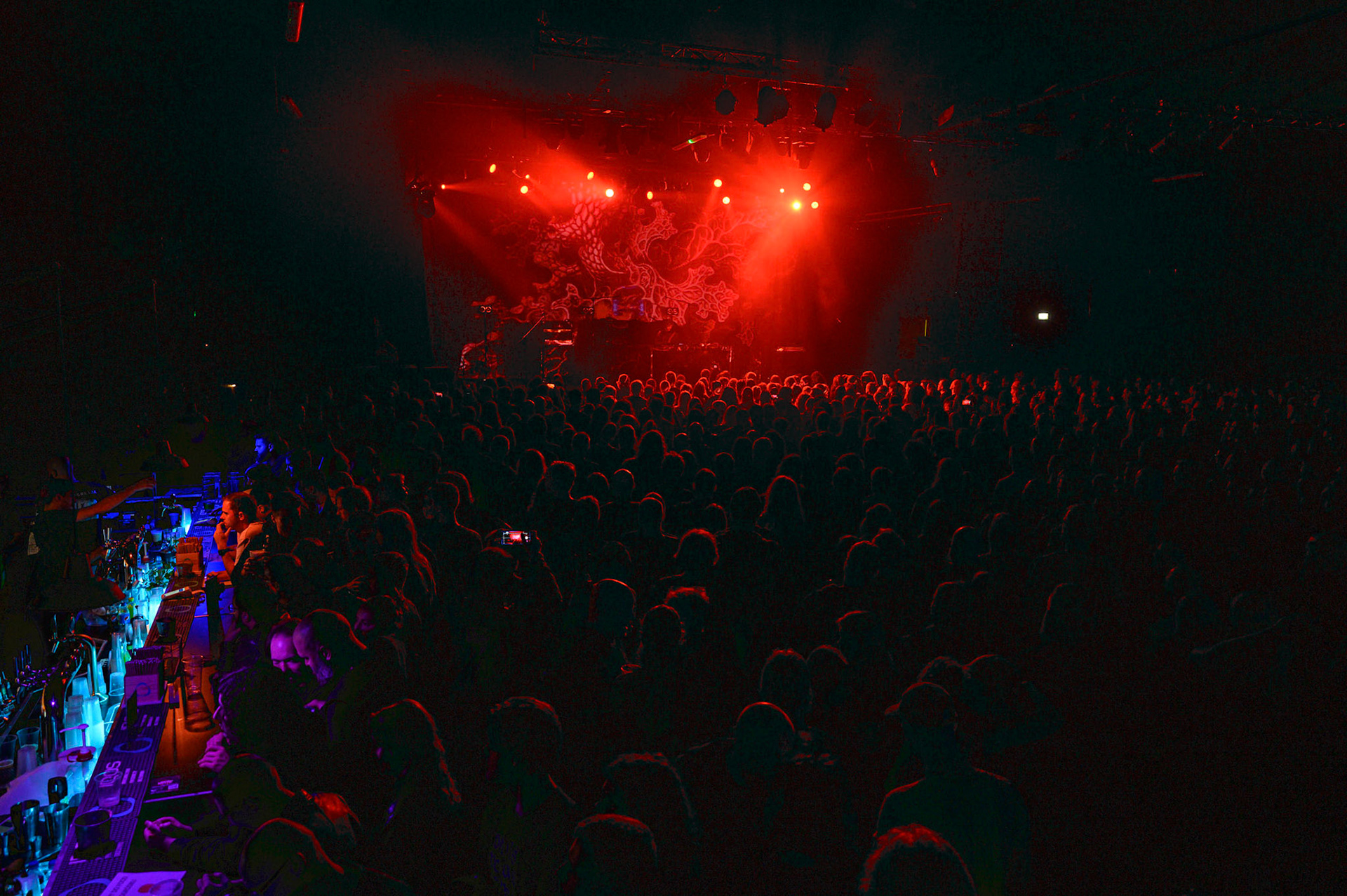 2023.11.11 Zamilska w warszawskim klubie Progresja!  fot. Andrzej Wasilkiewicz/Reporter