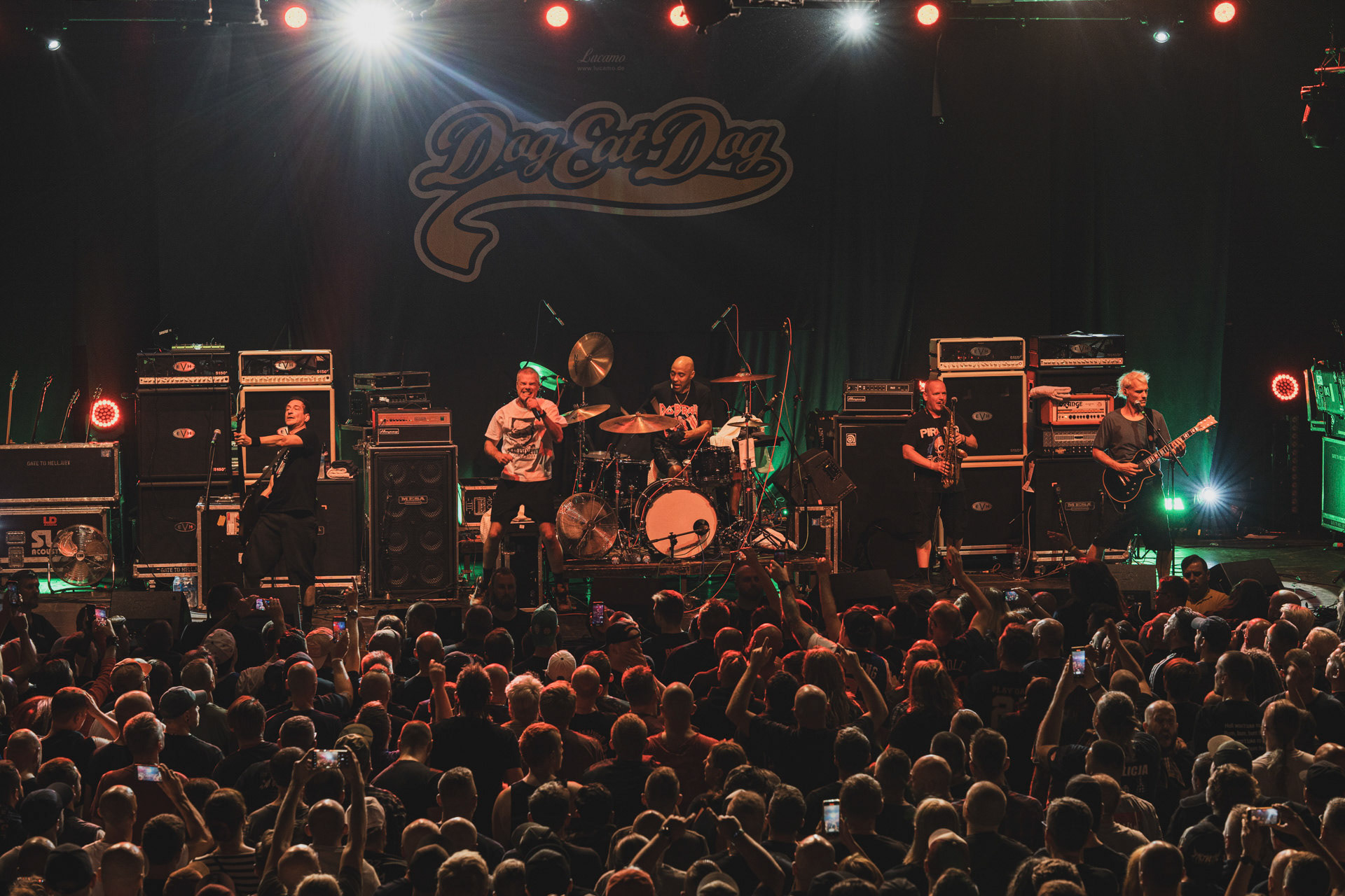 8.08.2023 Dog Eat Dog - Warszawa klub Progresja,Produkcja Knock Out Productions. fot. Andrzej Wasilkiewicz/kaziq.com