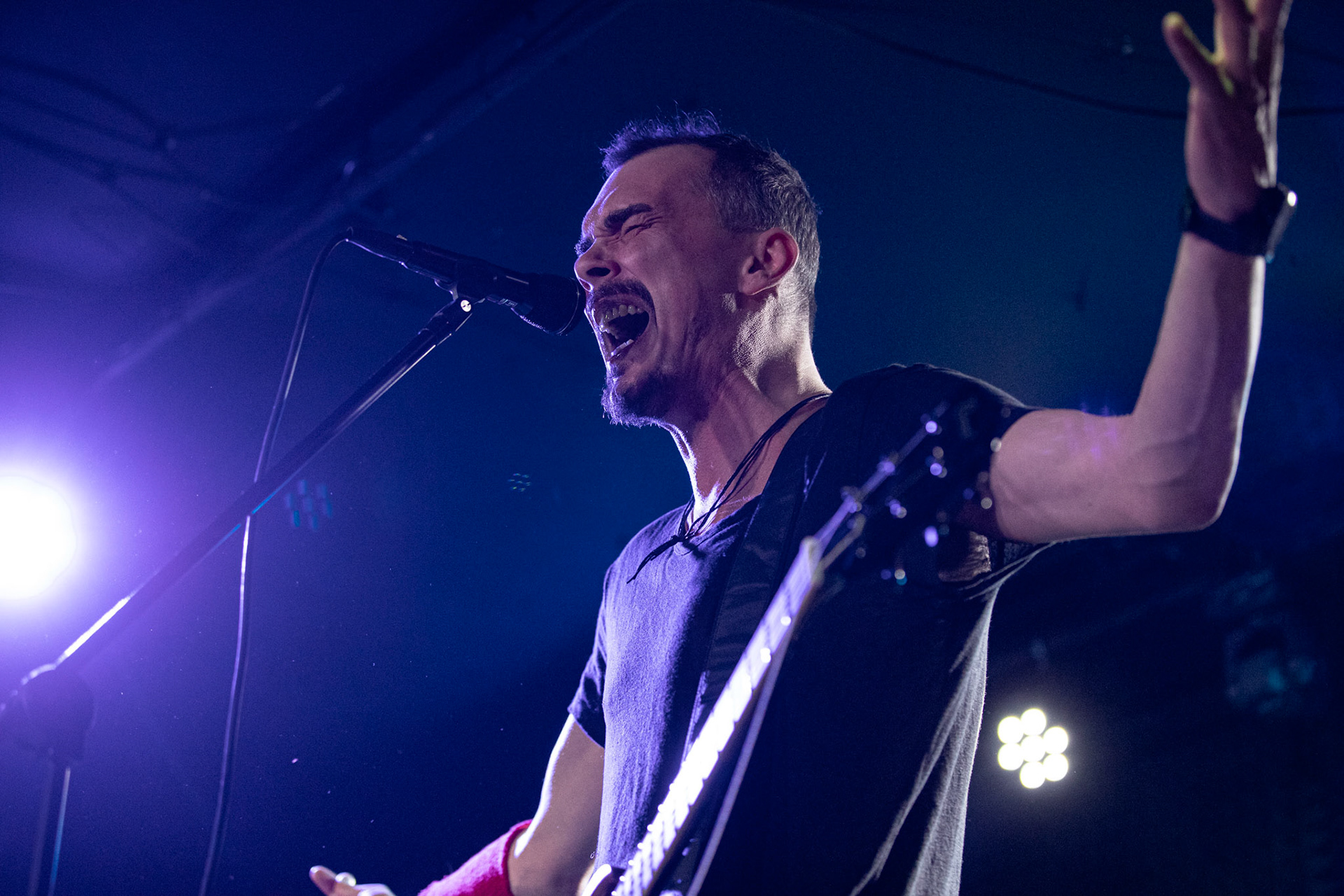 15.02.2020 DANTE - Metalowe Zwierzaki vol.13 - koncert Remont, 
Łukasz „Lucas” Myszkowski (Antigama) - gitara, wokal.
Dariusz „Daray” Brzozowski (Dimmu Borgir, ex Vader) - perkusja.
Tomasz „Yony’ego” Jońca (ex-Obscure Sphinx) - gitara.
Majk Hercberg (Plan, Hedfirst)- bass.
dark hardcore opera, fot. Andrzej Wasilkiewicz/REPORTER