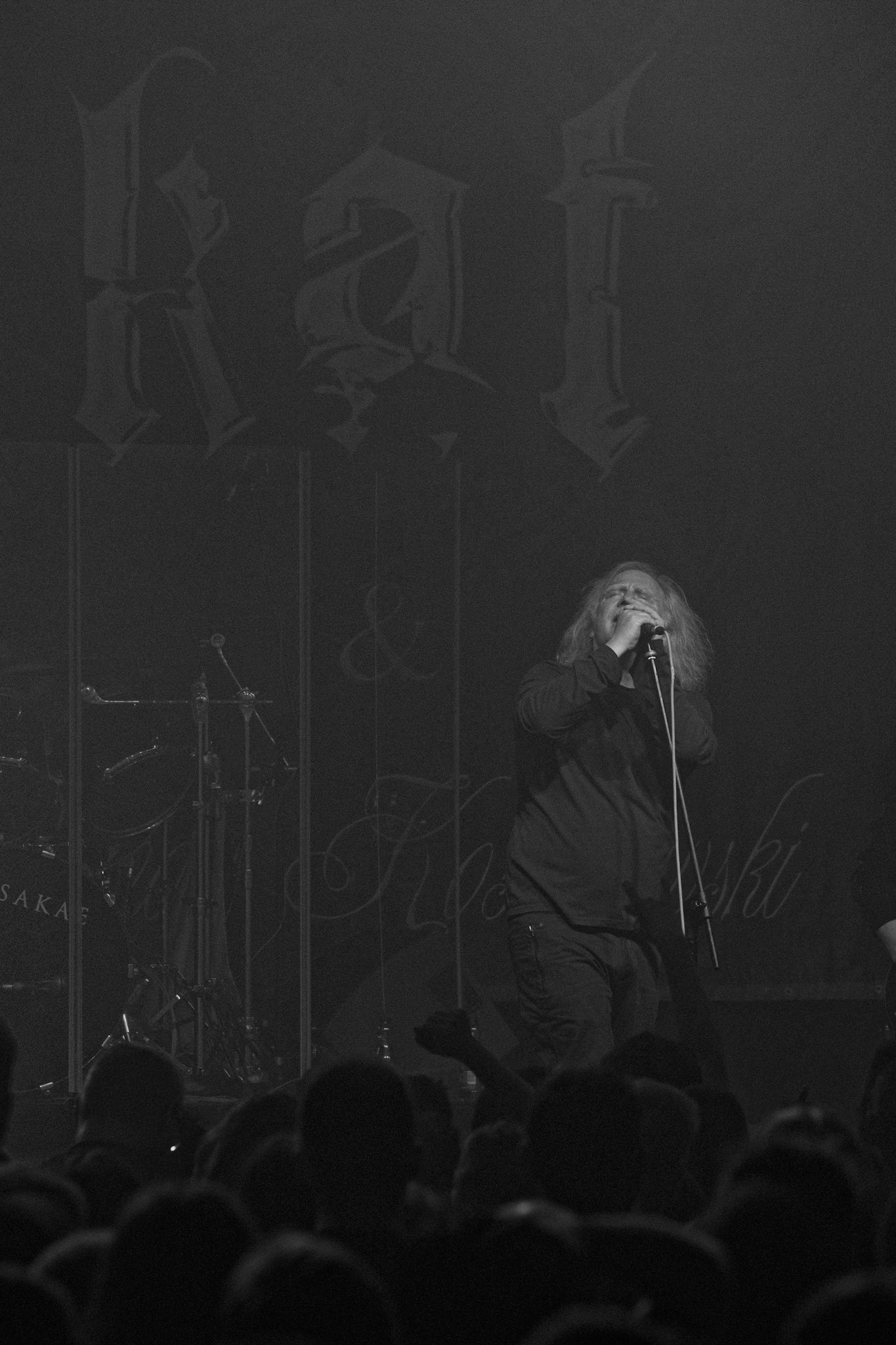 Kat & Roman Kostrzewski, KAT, Trashmetal Polska, Progresja