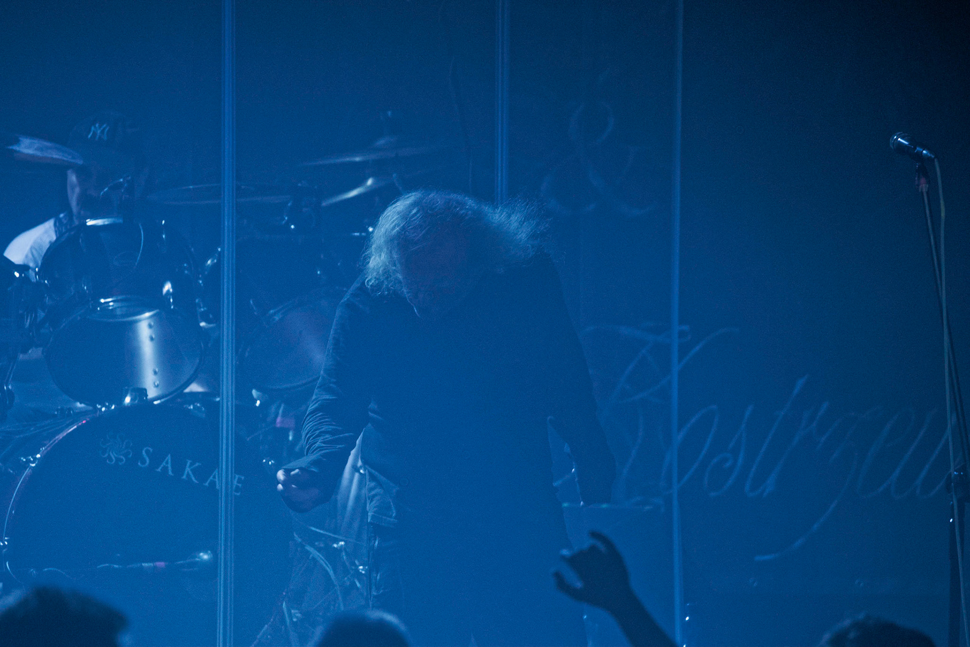 Kat & Roman Kostrzewski, KAT, Trashmetal Polska, Progresja