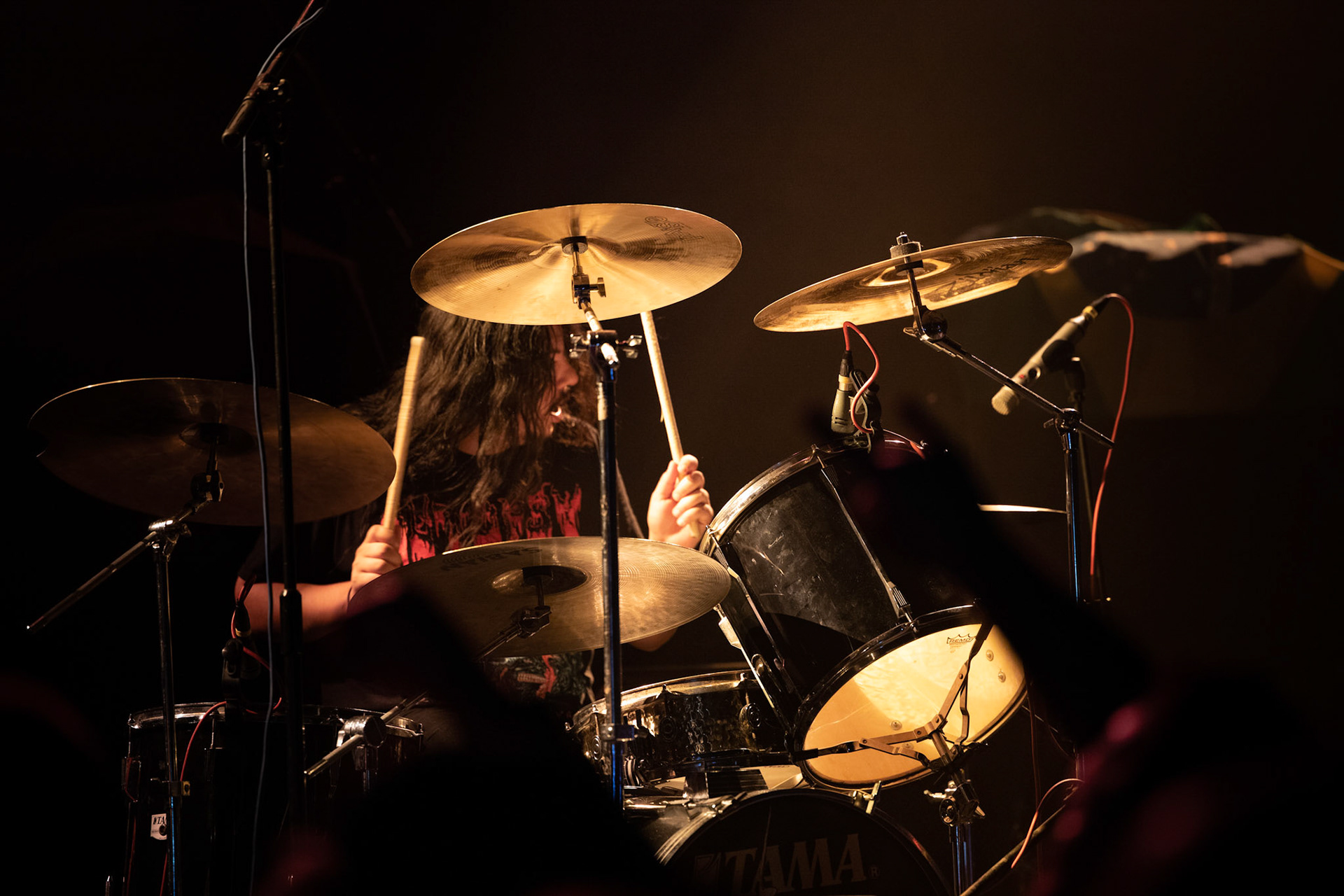 Igor A Cavalera wokal gitara basowa
Travis Stone gitara
Johnny Valles perkusja
Support podczas europejska trasa koncertowej Cavalera Conspiracy 
Return Beneath Arise - Max i Iggor Cavalera ex-Sepultura
Koncert w warszawskiej Progresji 20.11.2019
heavy metal, thrash metal, metal,
groove metal, thrash metal, metal, 
fot. Andrzej Wasilkiewicz/Reporter