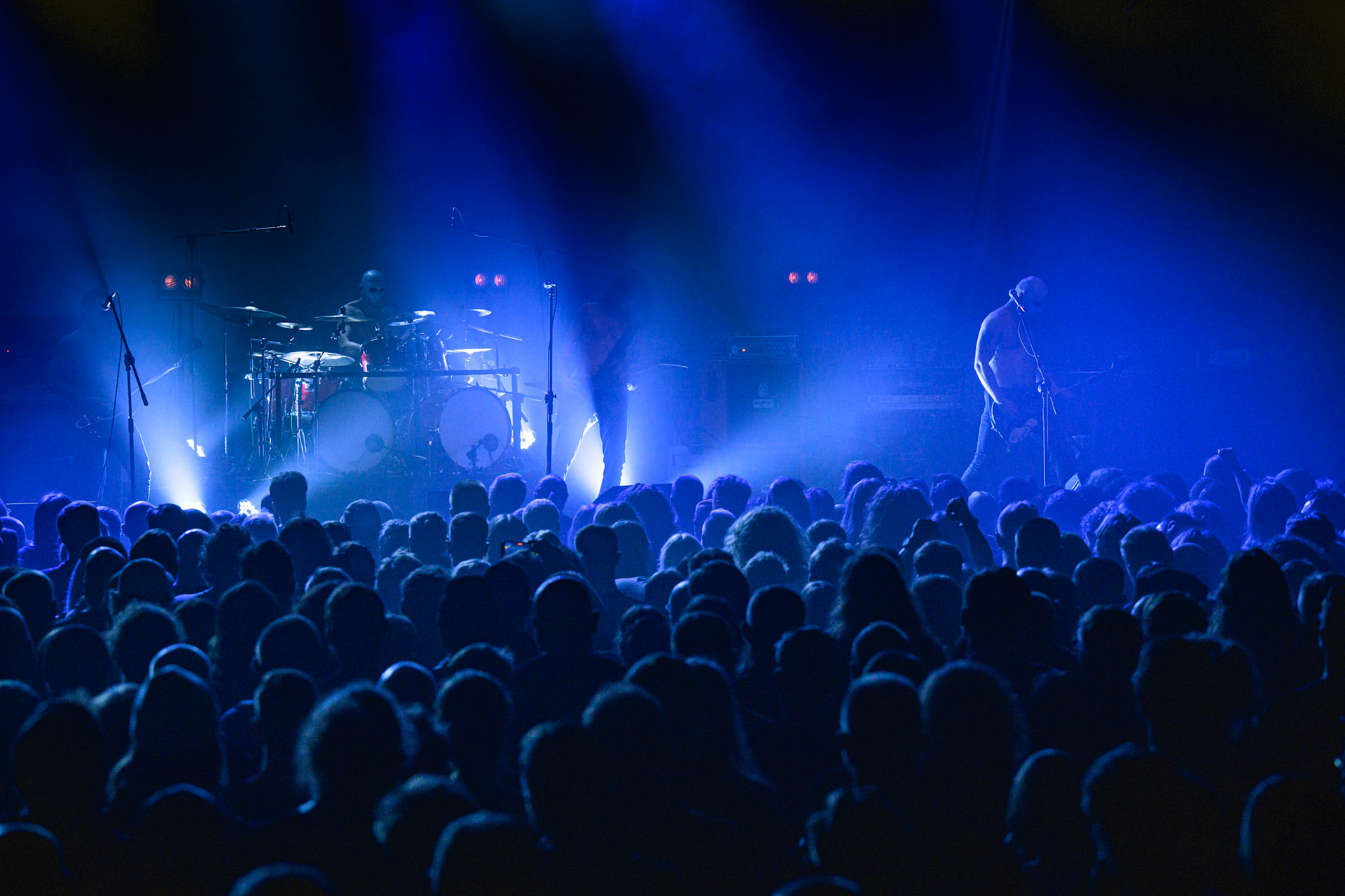 2023.11.11 Furia w warszawskim klubie Progresja!  fot. Andrzej Wasilkiewicz/Reporter