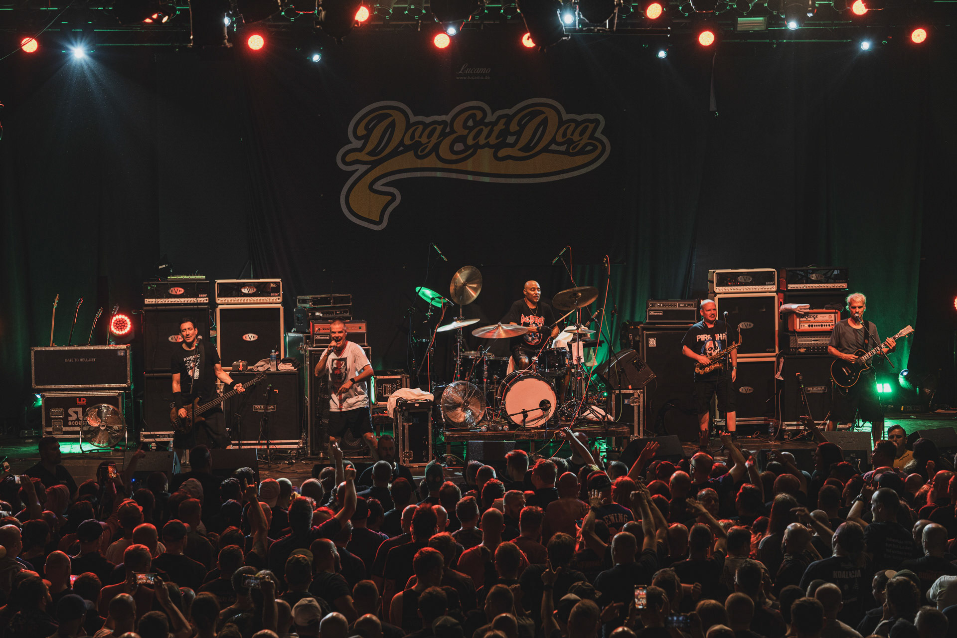 8.08.2023 Dog Eat Dog - Warszawa klub Progresja,Produkcja Knock Out Productions. fot. Andrzej Wasilkiewicz/kaziq.com