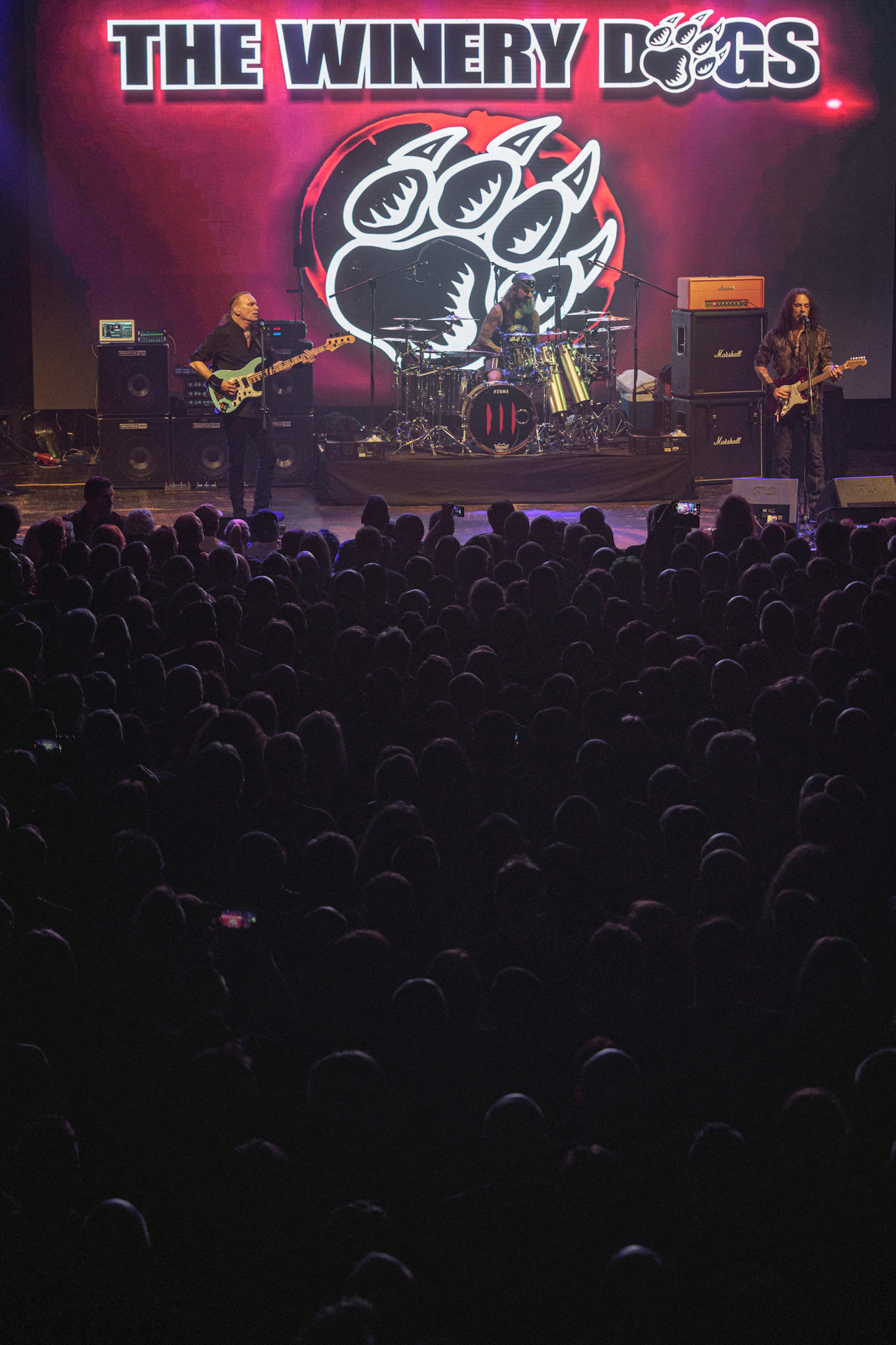 21.10.2021 The Winery Dogs - Warszawa klub Progresja, Knock Out Productions, fot. Andrzej Wasilkiewicz/Reporter