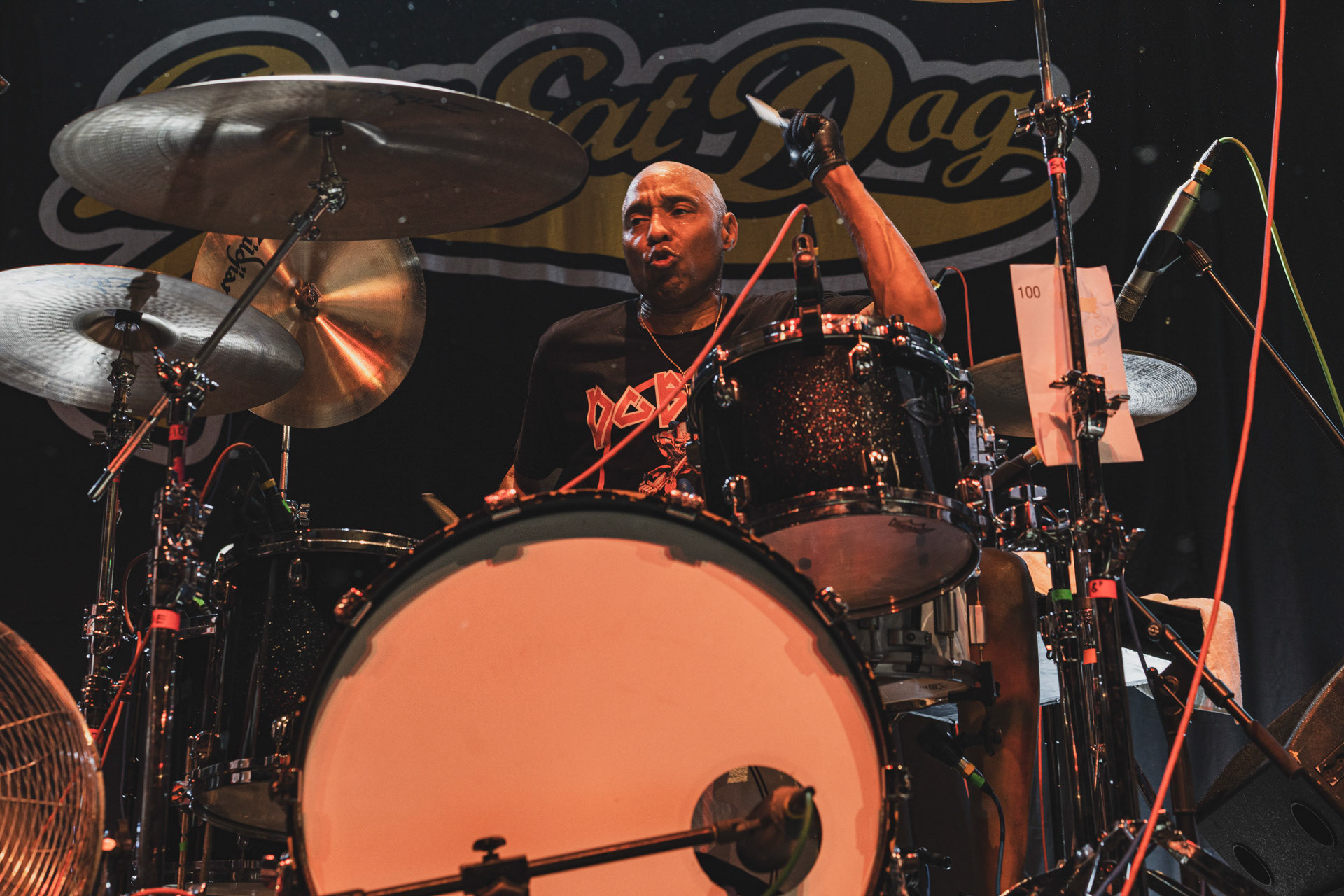 8.08.2023 Dog Eat Dog - Warszawa klub Progresja,Produkcja Knock Out Productions. fot. Andrzej Wasilkiewicz/kaziq.com