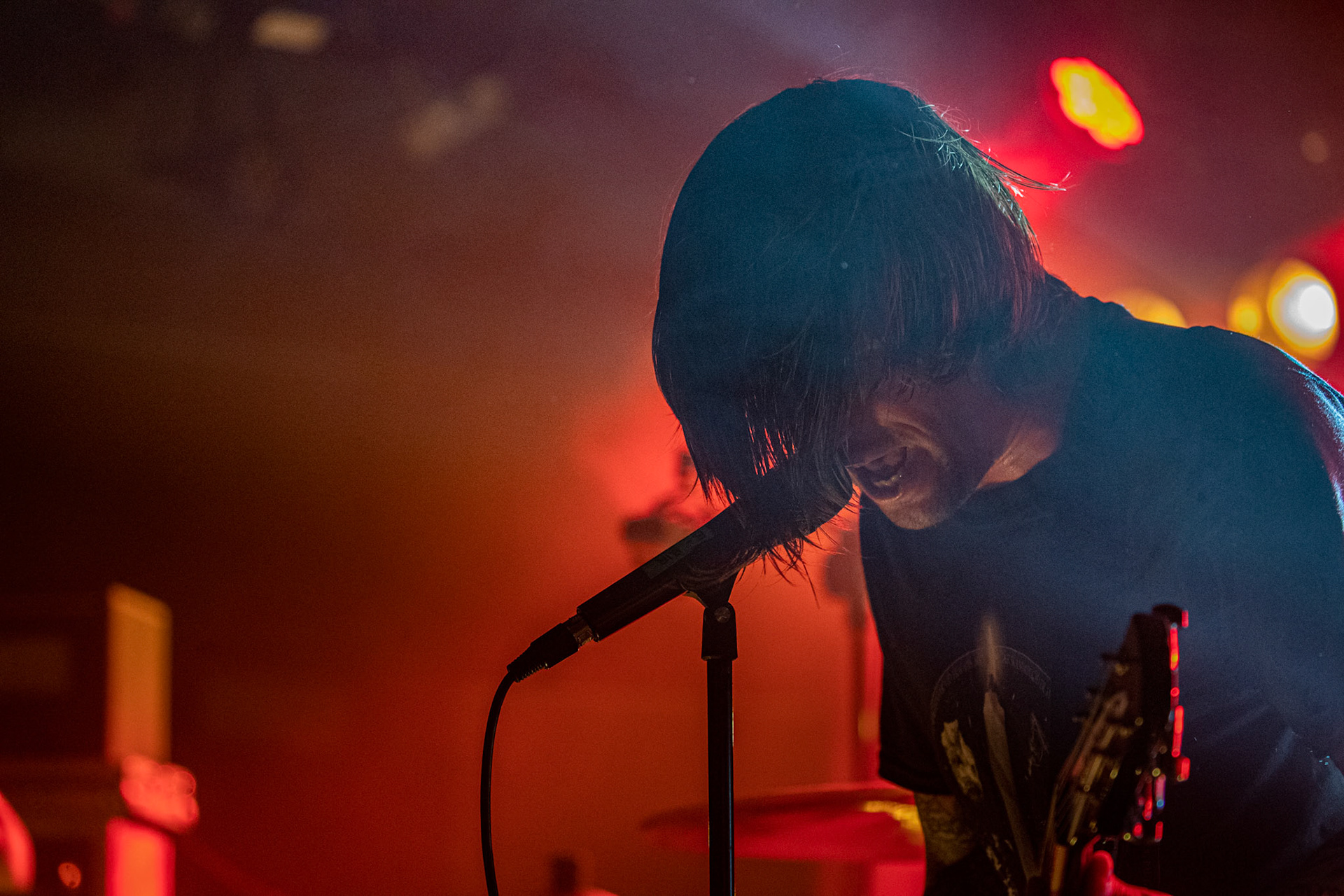 20.02.2020 Birds in row - Spiritual Instinct European Tour 2020
Koncert w warszawskiej Proximie, francuzi supportowali Alcest,
Blues / Hardcore, Knock Out Productions.
fot. Andrzej Wasilkiewicz/Reporter