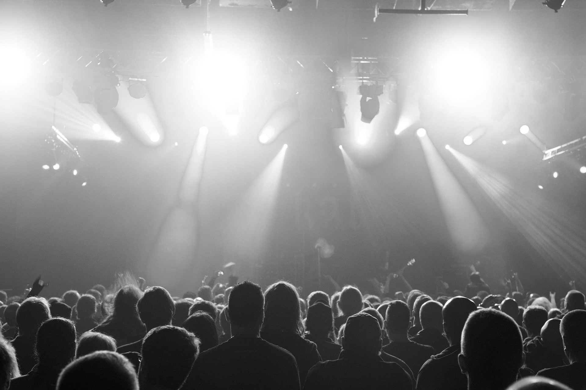 Kat & Roman Kostrzewski, KAT, Trashmetal Polska, Progresja