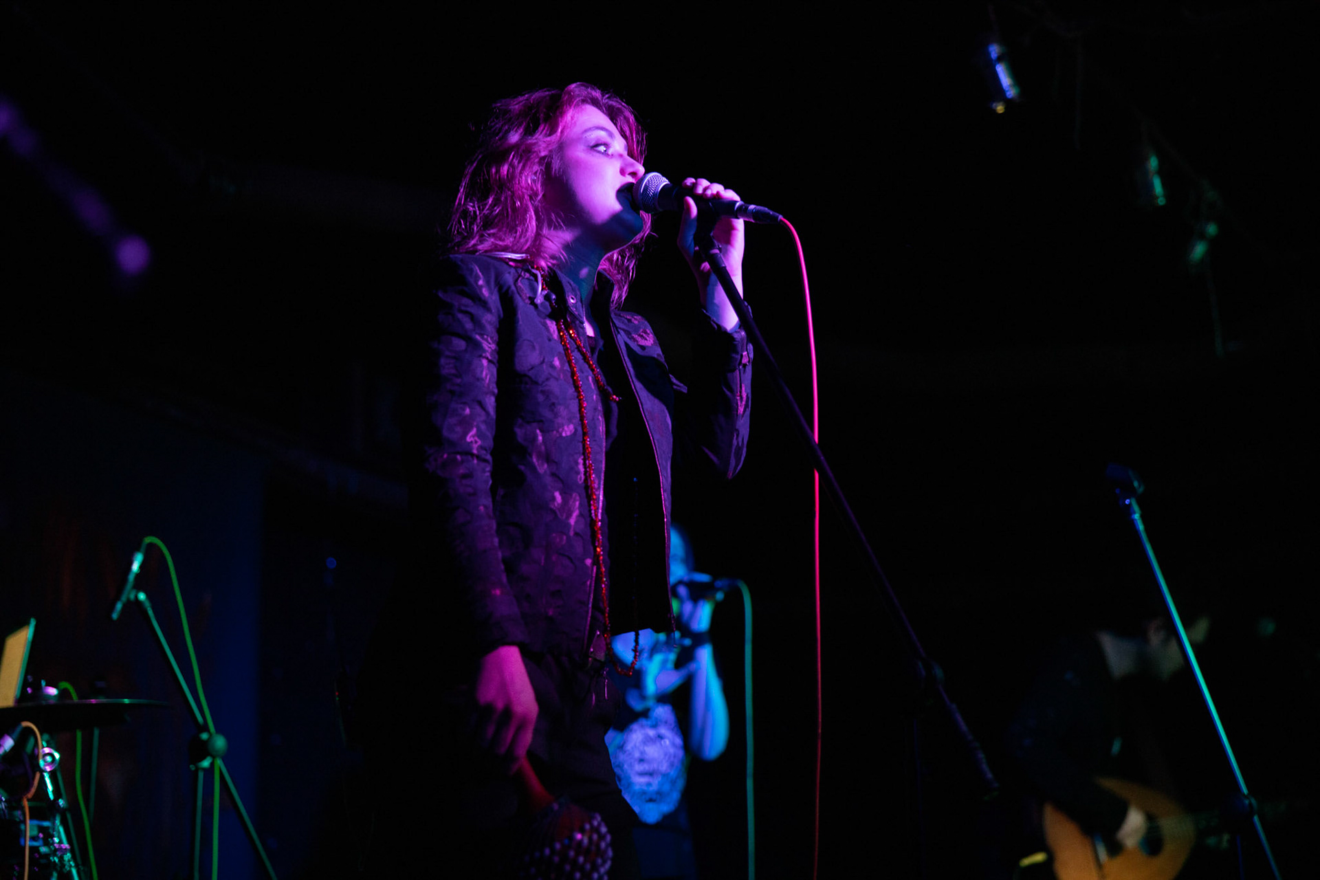 Żywiołak - biometal, folk, ethno sound,
Robert Jaworski - fidel renesansowa, wokal, lira korbowa,
Kamil Strzyżewski - gitara basowa, lutnia,
Wiktoria Kwiatkowska - śpiew, 
Zuza Ciszewska - śpiew, skrzypce,
Michał Lange - perkusja,
Szyszka Leśna - skrzypce ,wokal wspomagający,
Warszawa, klub Potok Drugi Dom Ludzi Rocka,
fot. Andrzej kaziq Wasilkiewicz