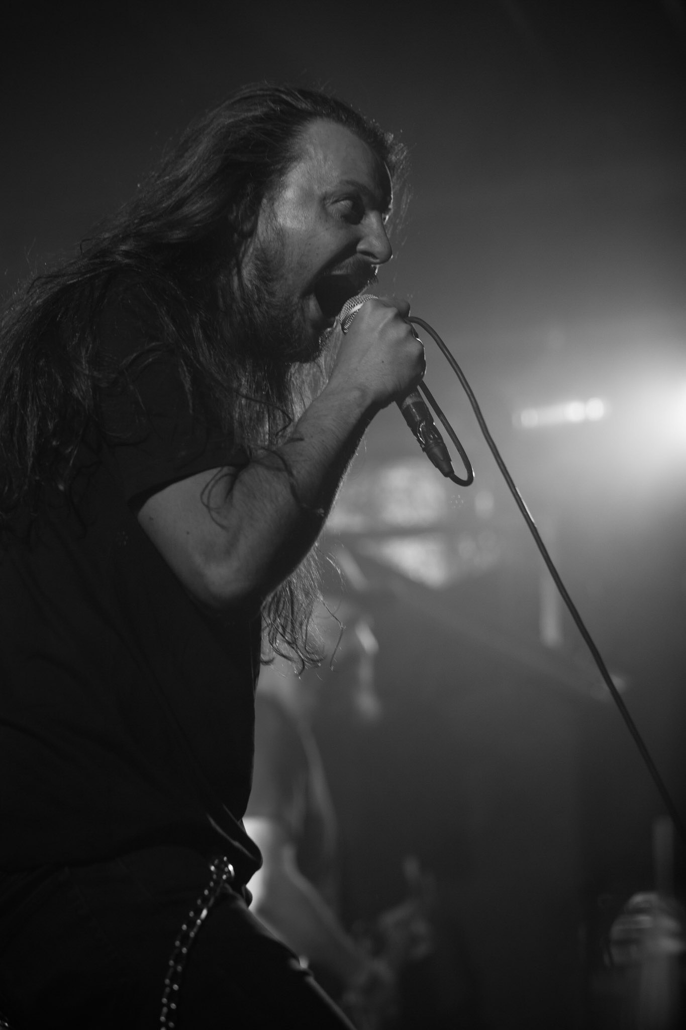 Carnal - rock, metal, doom/death metal
Robert Gajewski – vocal
Krzysztof Gorczewski - guitar 
Kuba Leszko – guitar
Marek Gajewski – bass
Michał Wiśniewski – drums
guest:
Miro Kępiński - guitar & synth
Agencja Winiarybookings  fot. Andrzej Wasilkiewicz/Reporter