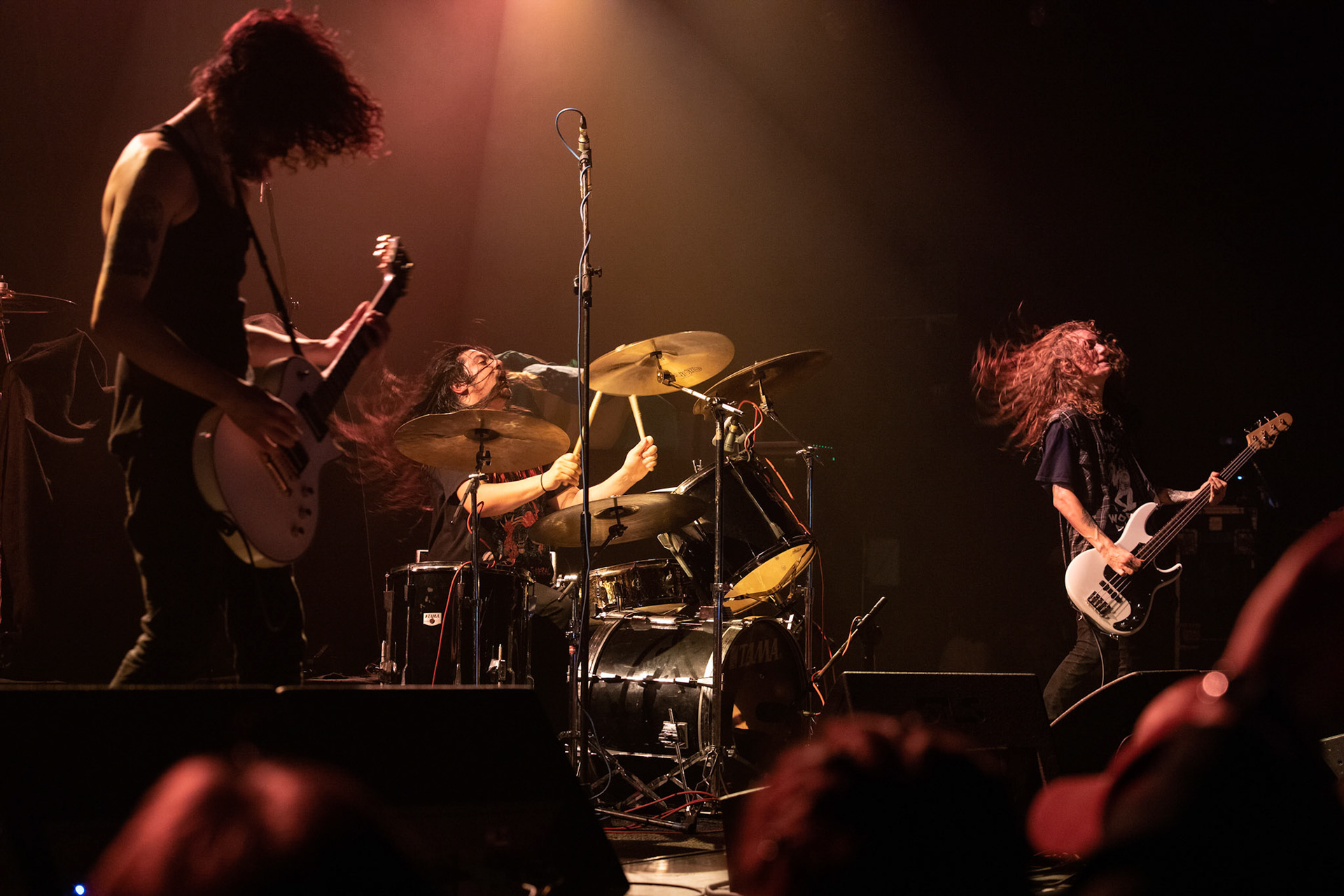 Igor A Cavalera wokal gitara basowa
Travis Stone gitara
Johnny Valles perkusja
Support podczas europejska trasa koncertowej Cavalera Conspiracy 
Return Beneath Arise - Max i Iggor Cavalera ex-Sepultura
Koncert w warszawskiej Progresji 20.11.2019
heavy metal, thrash metal, metal,
groove metal, thrash metal, metal, 
fot. Andrzej Wasilkiewicz/Reporter