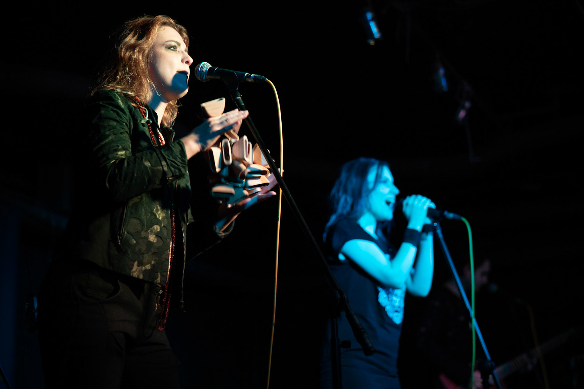 Żywiołak - biometal, folk, ethno sound,
Robert Jaworski - fidel renesansowa, wokal, lira korbowa,
Kamil Strzyżewski - gitara basowa, lutnia,
Wiktoria Kwiatkowska - śpiew, 
Zuza Ciszewska - śpiew, skrzypce,
Michał Lange - perkusja,
Szyszka Leśna - skrzypce ,wokal wspomagający,
Warszawa, klub Potok Drugi Dom Ludzi Rocka,
fot. Andrzej kaziq Wasilkiewicz