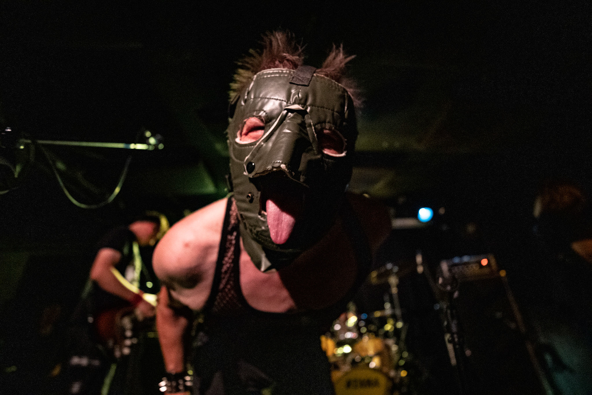 8.08.2019. TZN Xenia - warszawska grupa punkrockowa 
Krzysztof "Zygzak" Chojnacki – wokal 
Dariusz "Dynia" Dynowski – perkusja 
Wojtek "Tele Kesur" Rusak – gitara 
Krzysztof "Panek" Pankiewicz - gitara basowa, Produkcja Boredom Booking, Warszawa Pogłos,
fot. Andrzej kaziq Wasilkiewicz/Reporter