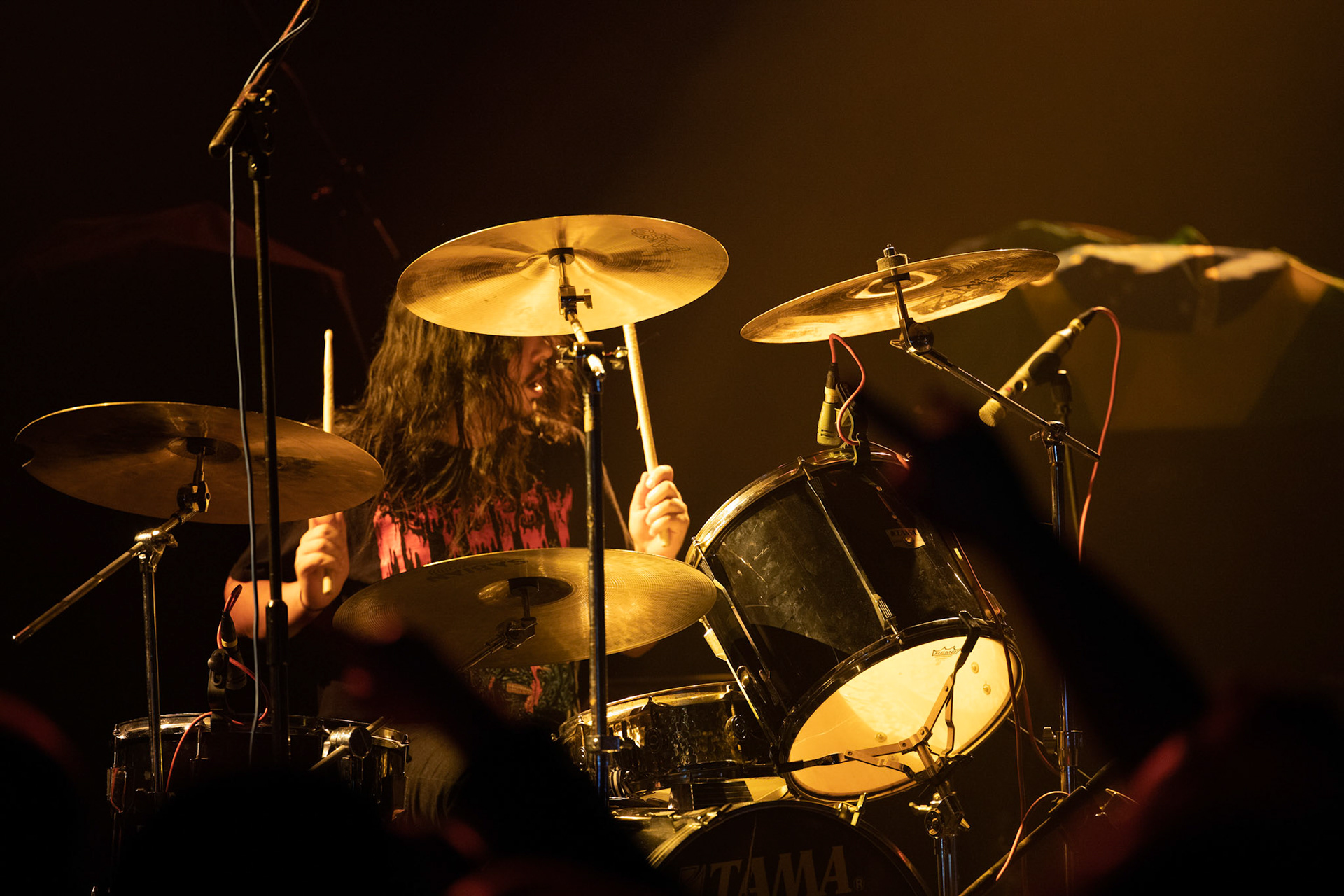 nz. Johnny Valles perkusja,
Support podczas europejska trasa koncertowej Cavalera Conspiracy 
Return Beneath Arise - Max i Iggor Cavalera ex-Sepultura
Koncert w warszawskiej Progresji 20.11.2019
heavy metal, thrash metal, metal,
groove metal, thrash metal, metal, 
fot. Andrzej Wasilkiewicz/Reporter