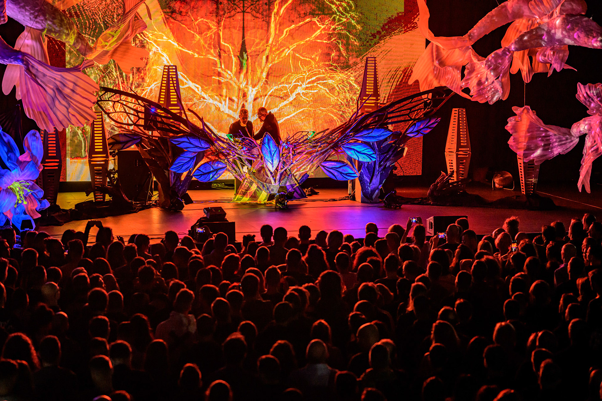 2024.11.30 JUST DECKARD - Progresja Warszawa. Fot. Andrzej Wasiliewicz/kaziq.com