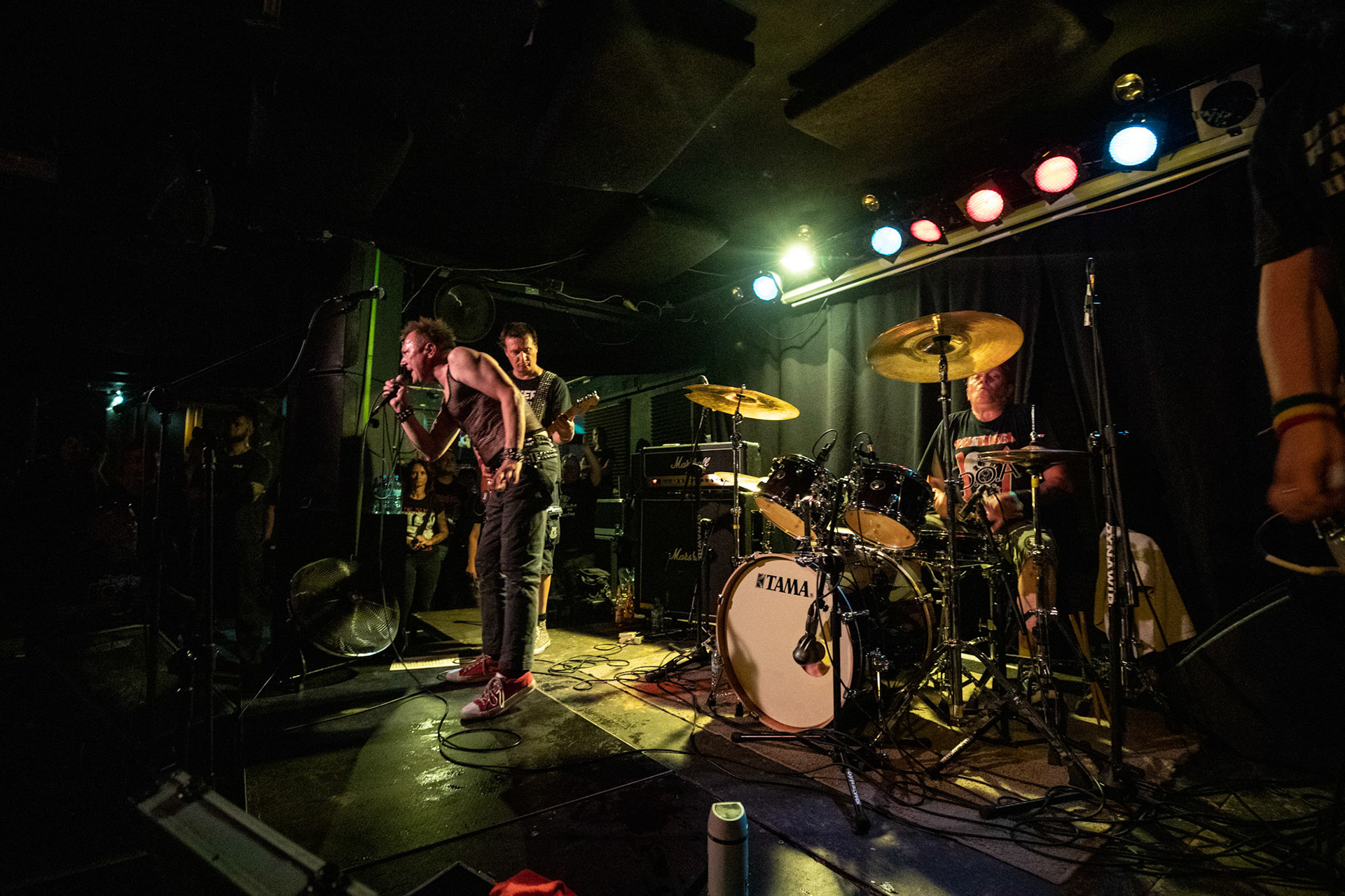 8.08.2019. TZN Xenia - warszawska grupa punkrockowa 
Krzysztof "Zygzak" Chojnacki – wokal 
Dariusz "Dynia" Dynowski – perkusja 
Wojtek "Tele Kesur" Rusak – gitara 
Krzysztof "Panek" Pankiewicz - gitara basowa, Produkcja Boredom Booking, Warszawa Pogłos,
fot. Andrzej kaziq Wasilkiewicz/Reporter