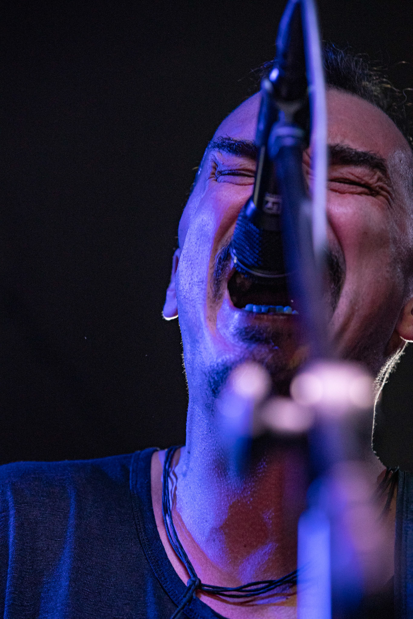 15.02.2020 DANTE - Metalowe Zwierzaki vol.13 - koncert Remont, 
Łukasz „Lucas” Myszkowski (Antigama) - gitara, wokal.
Dariusz „Daray” Brzozowski (Dimmu Borgir, ex Vader) - perkusja.
Tomasz „Yony’ego” Jońca (ex-Obscure Sphinx) - gitara.
Majk Hercberg (Plan, Hedfirst)- bass.
dark hardcore opera, fot. Andrzej Wasilkiewicz/REPORTER