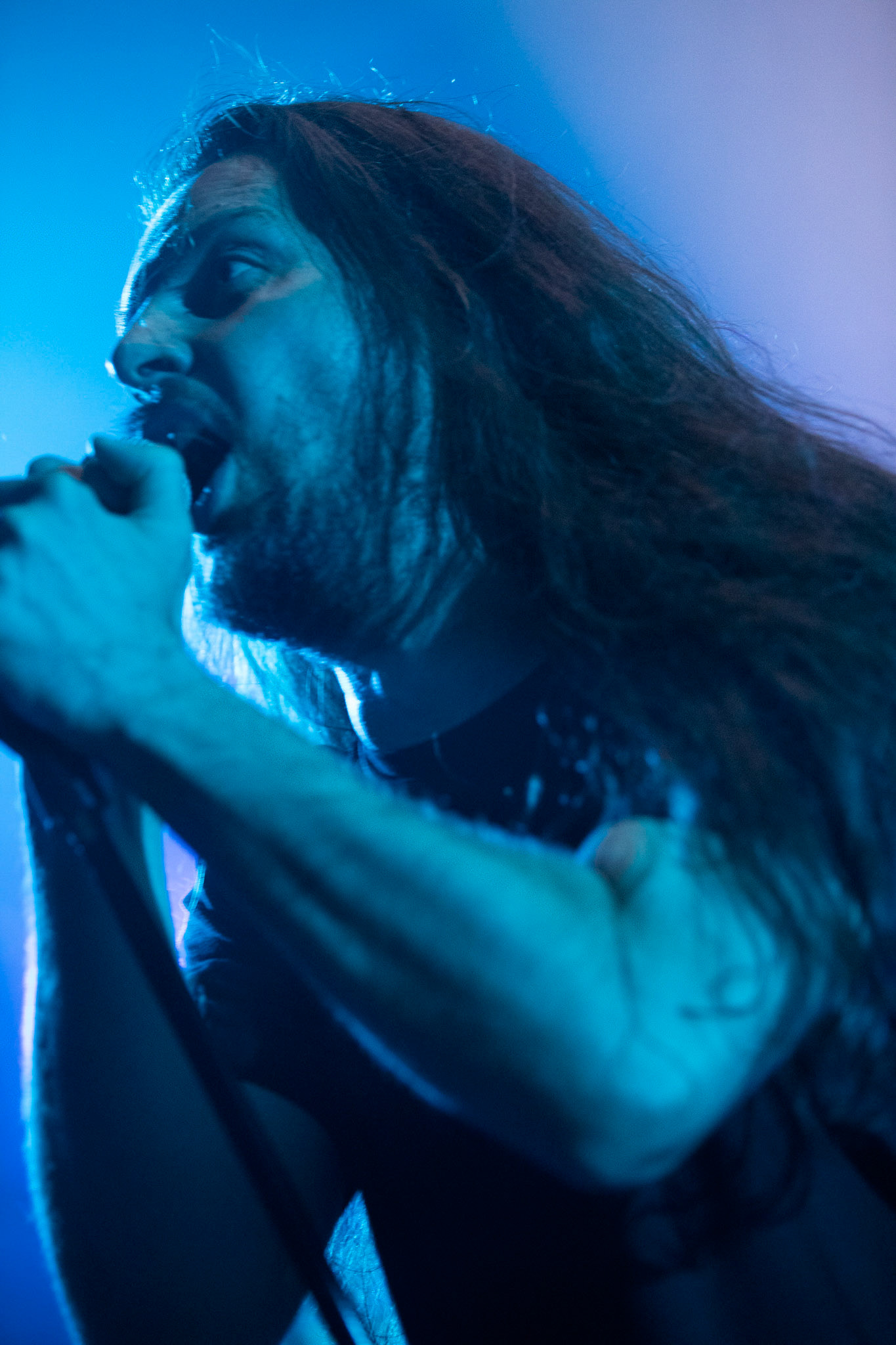 Carnal - rock, metal, doom/death metal
Robert Gajewski – vocal
Krzysztof Gorczewski - guitar 
Kuba Leszko – guitar
Marek Gajewski – bass
Michał Wiśniewski – drums
guest:
Miro Kępiński - guitar & synth
Agencja Winiarybookings  fot. Andrzej Wasilkiewicz/Reporter