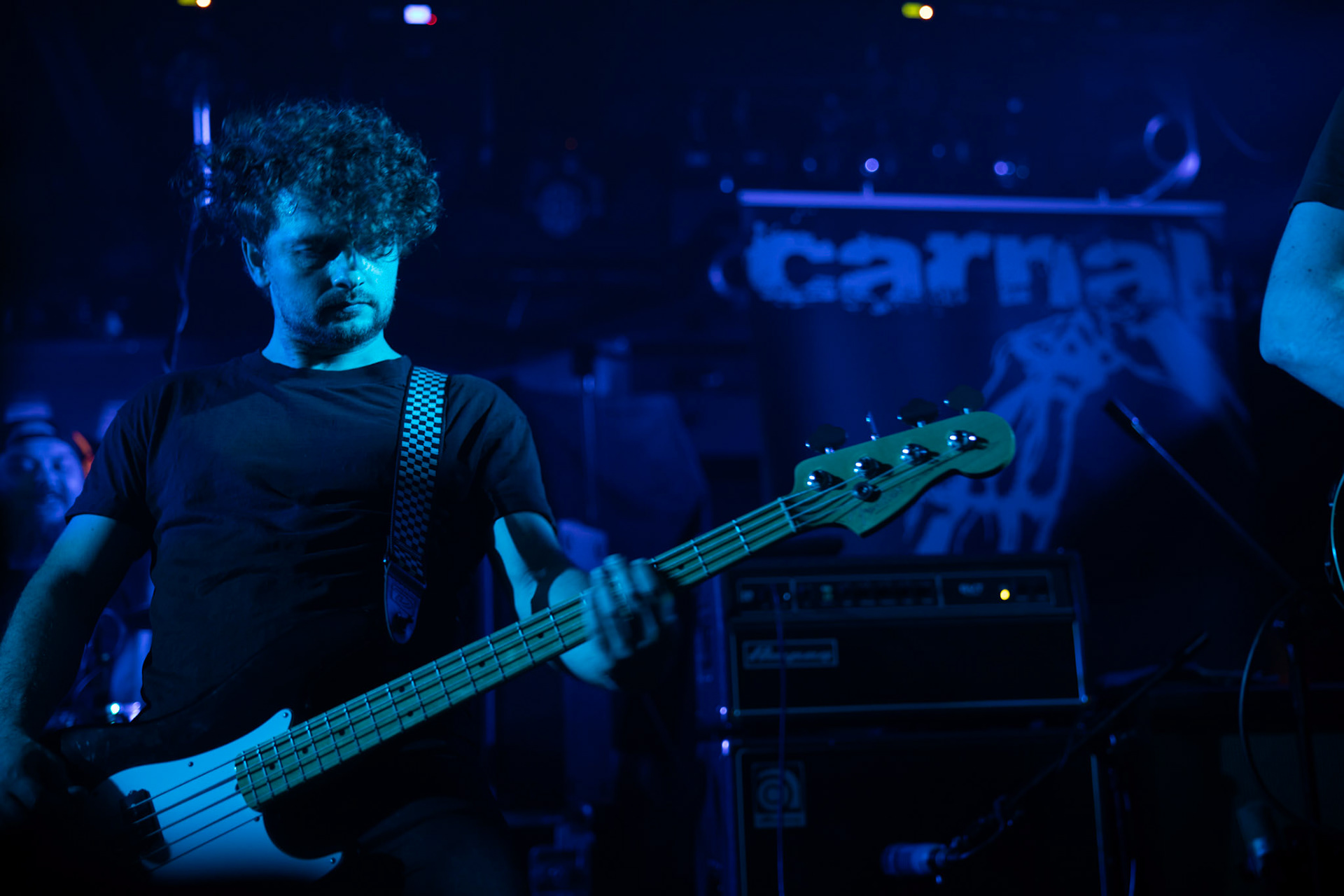 Carnal - rock, metal, doom/death metal
Robert Gajewski – vocal
Krzysztof Gorczewski - guitar 
Kuba Leszko – guitar
Marek Gajewski – bass
Michał Wiśniewski – drums
guest:
Miro Kępiński - guitar & synth
Agencja Winiarybookings  fot. Andrzej Wasilkiewicz/Reporter