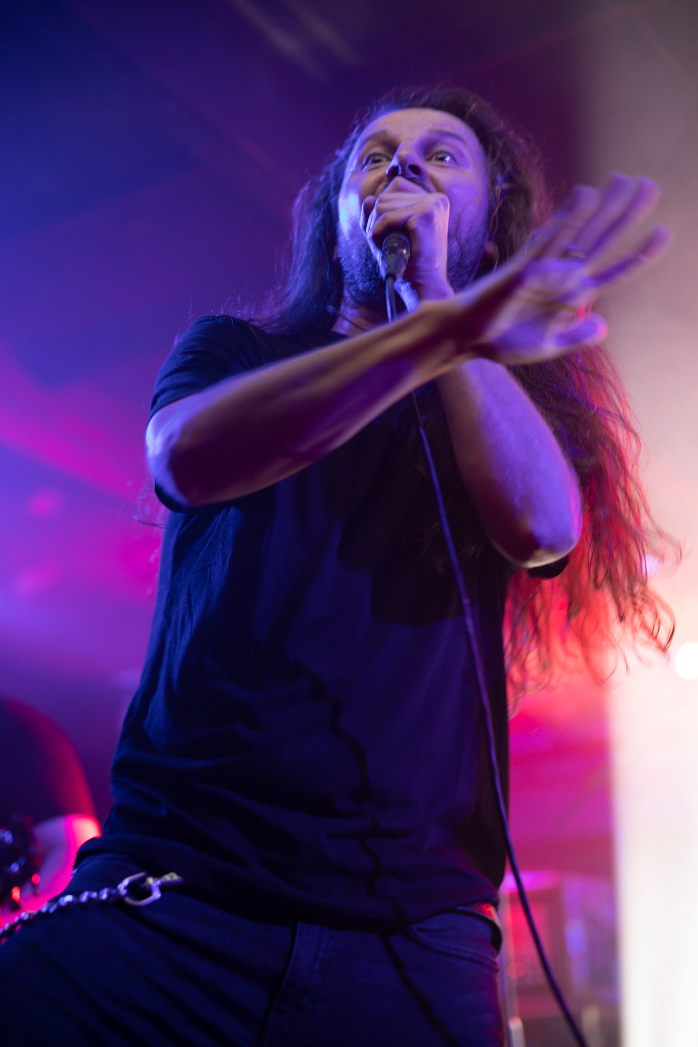 Carnal - rock, metal, doom/death metal
Robert Gajewski – vocal
Krzysztof Gorczewski - guitar 
Kuba Leszko – guitar
Marek Gajewski – bass
Michał Wiśniewski – drums
guest:
Miro Kępiński - guitar & synth
Agencja Winiarybookings  fot. Andrzej Wasilkiewicz/Reporter