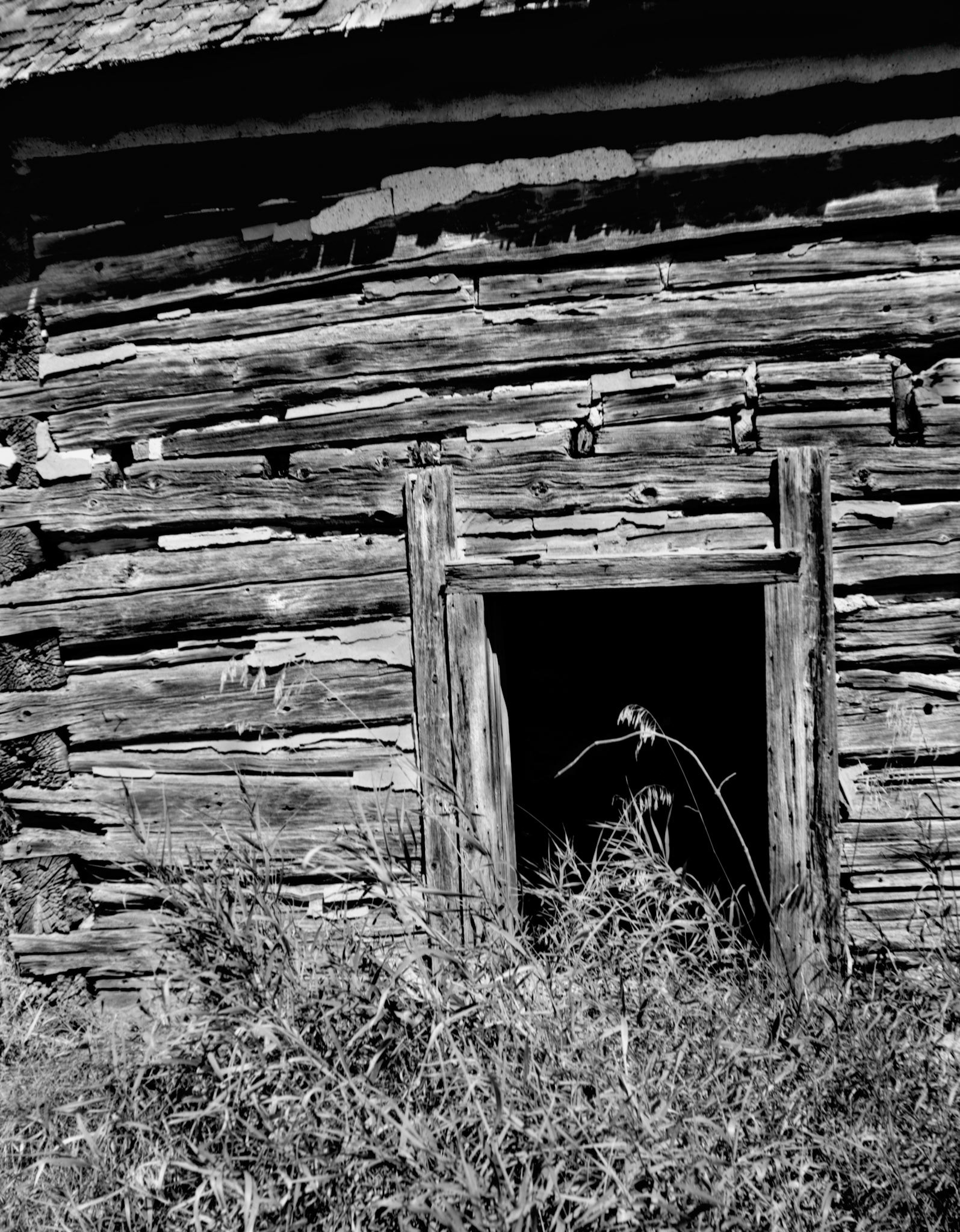 shot on 4X5 T-max scand2450 silverfast noice reducshon