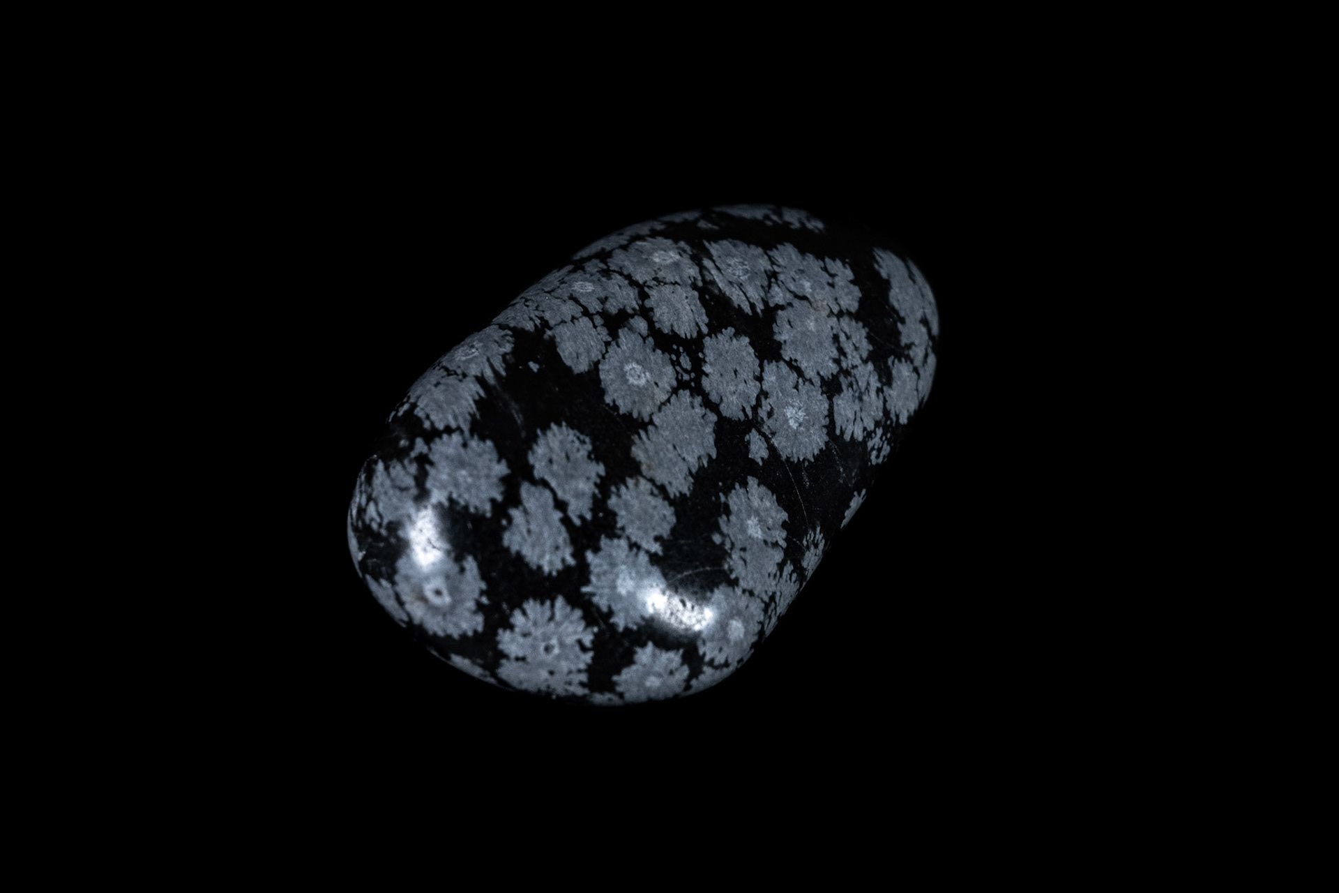 Snowflake Obsidian Stone on Black