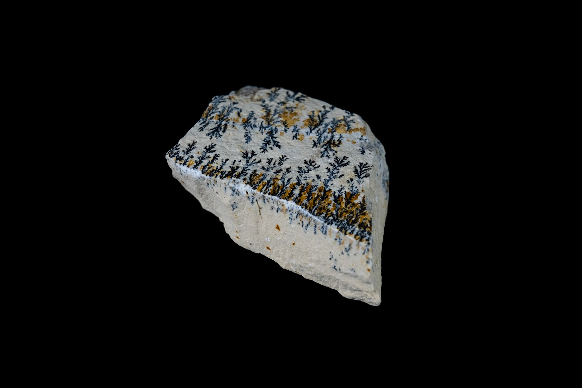 Magnesium Dendrites Limestone on Black