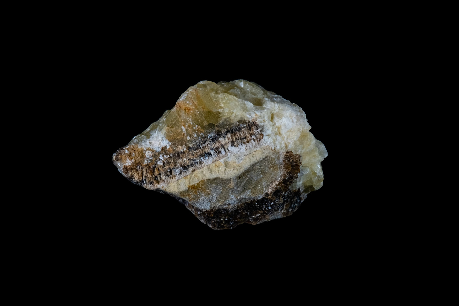 Septarian Nodule Rock on Black