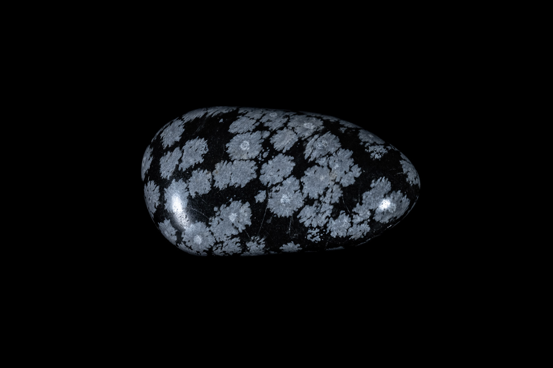 Snowflake Obsidian Stone on Black