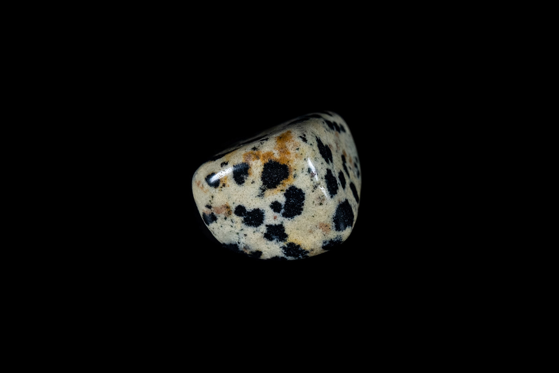 Dotted Hornblende Mineral on Black