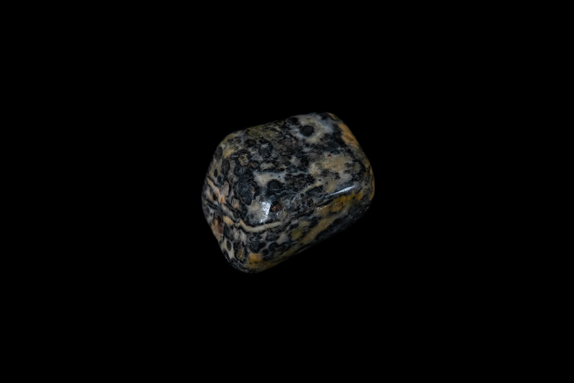 Leopard Jasper Mineral on Black